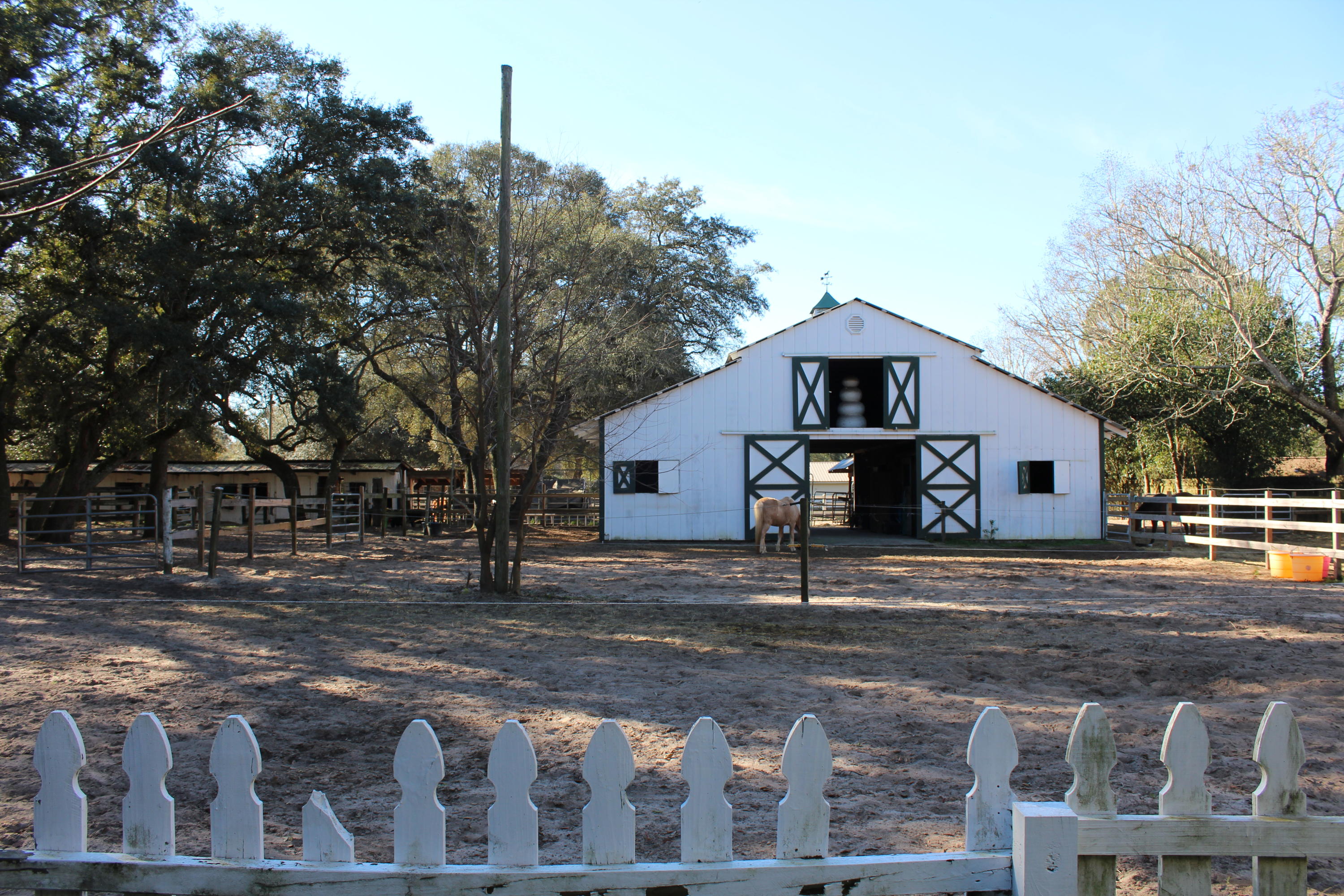 SEMINOLE - Residential