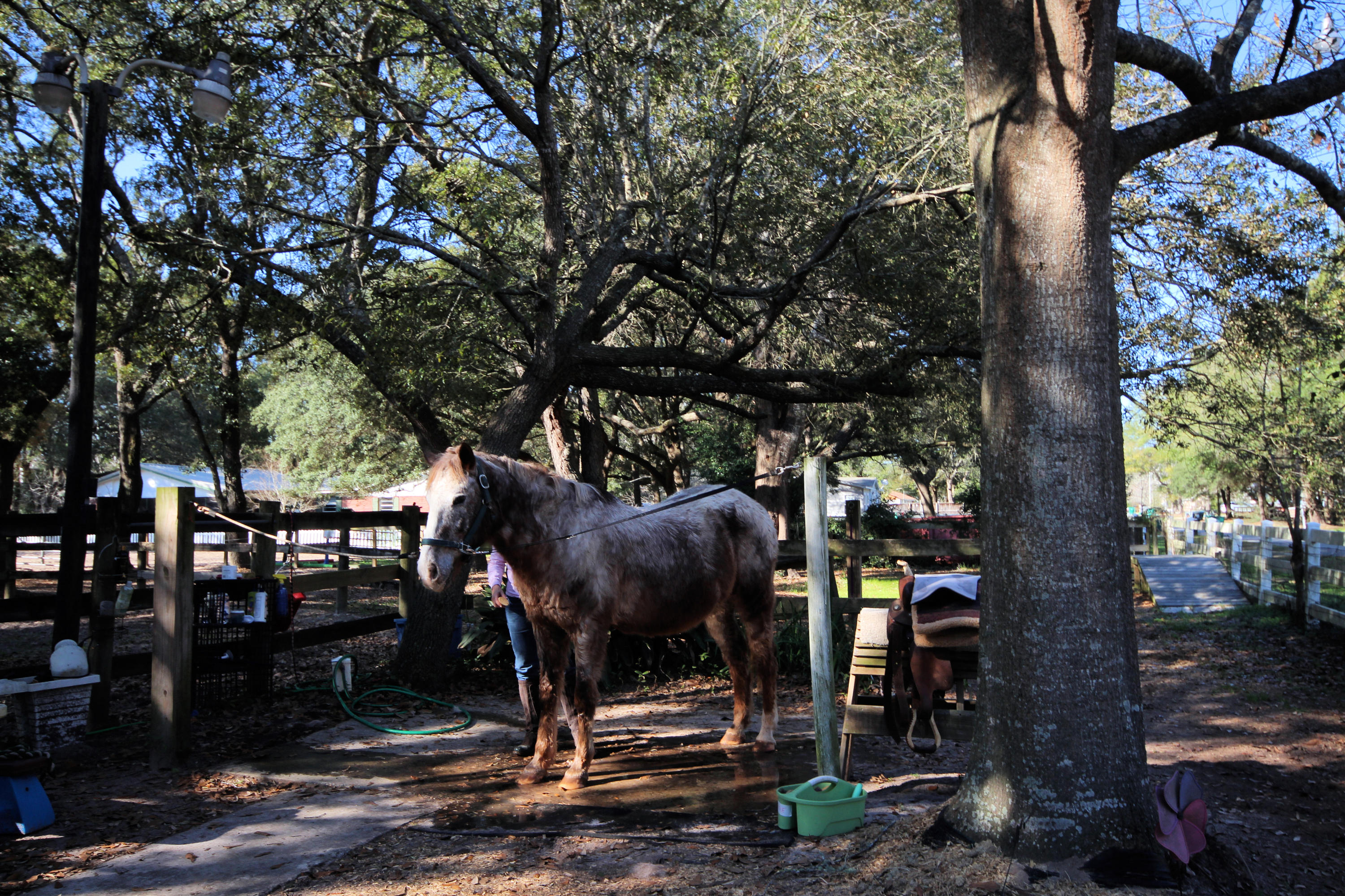 SEMINOLE - Residential