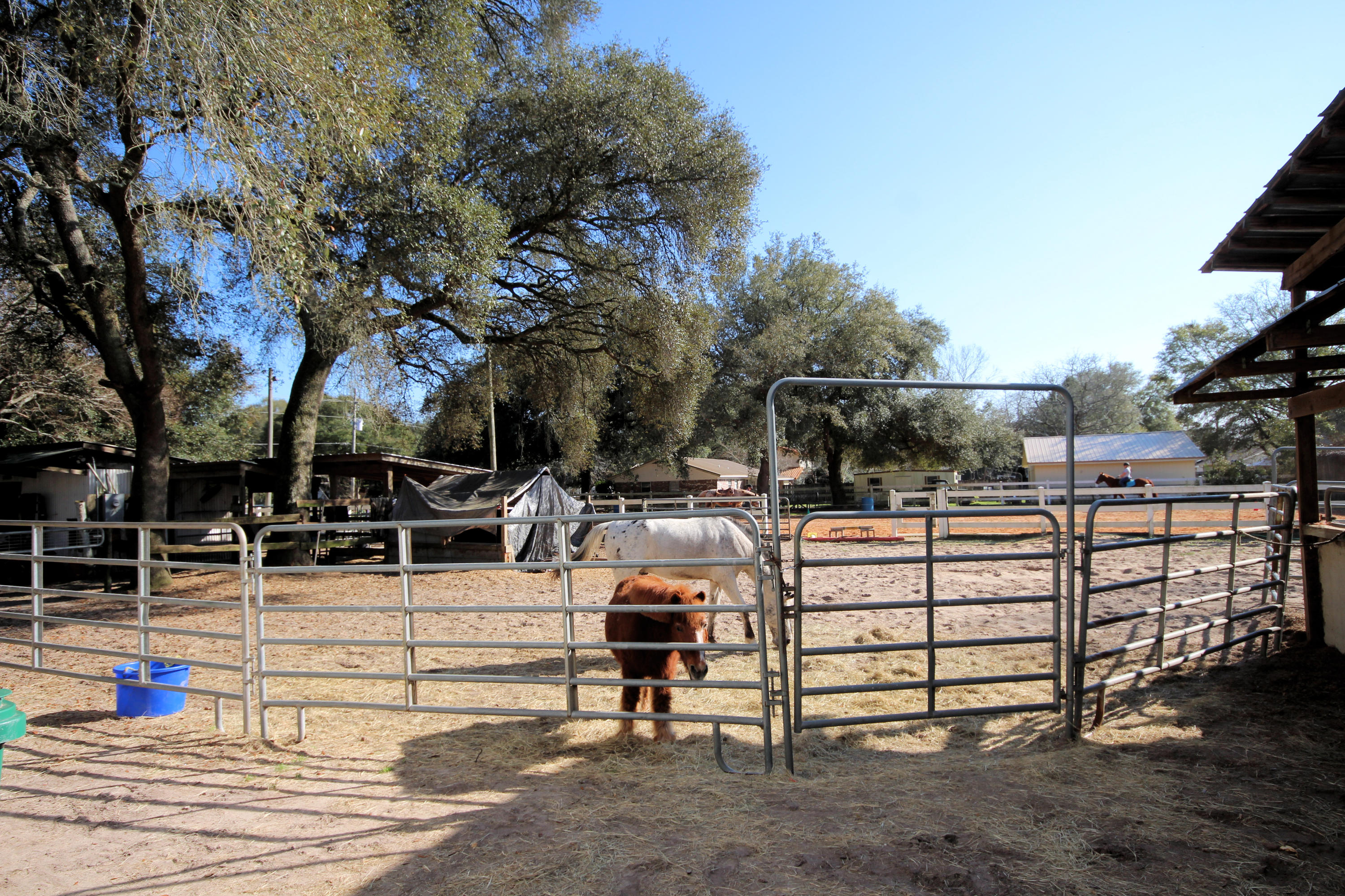 SEMINOLE - Residential