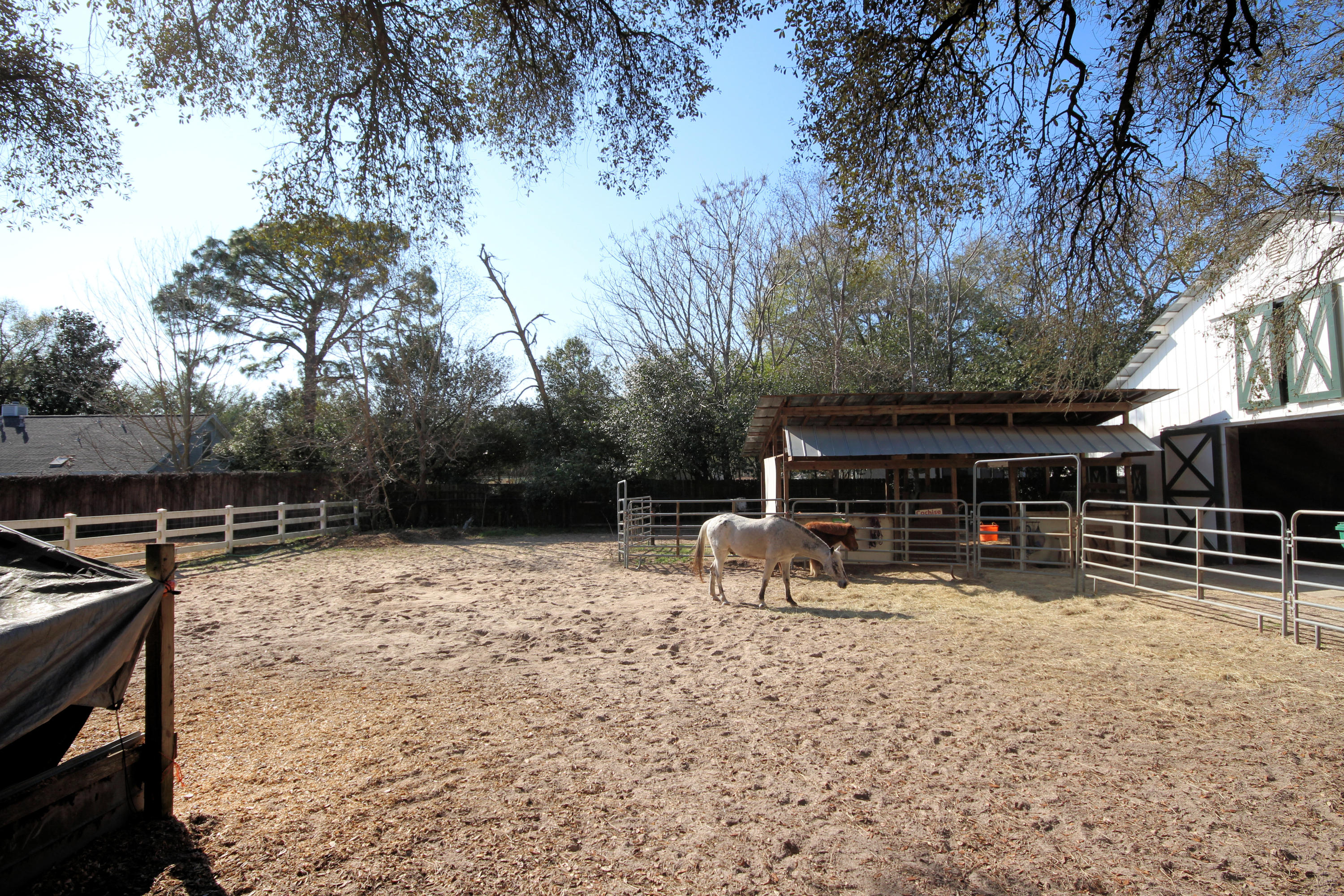 SEMINOLE - Residential