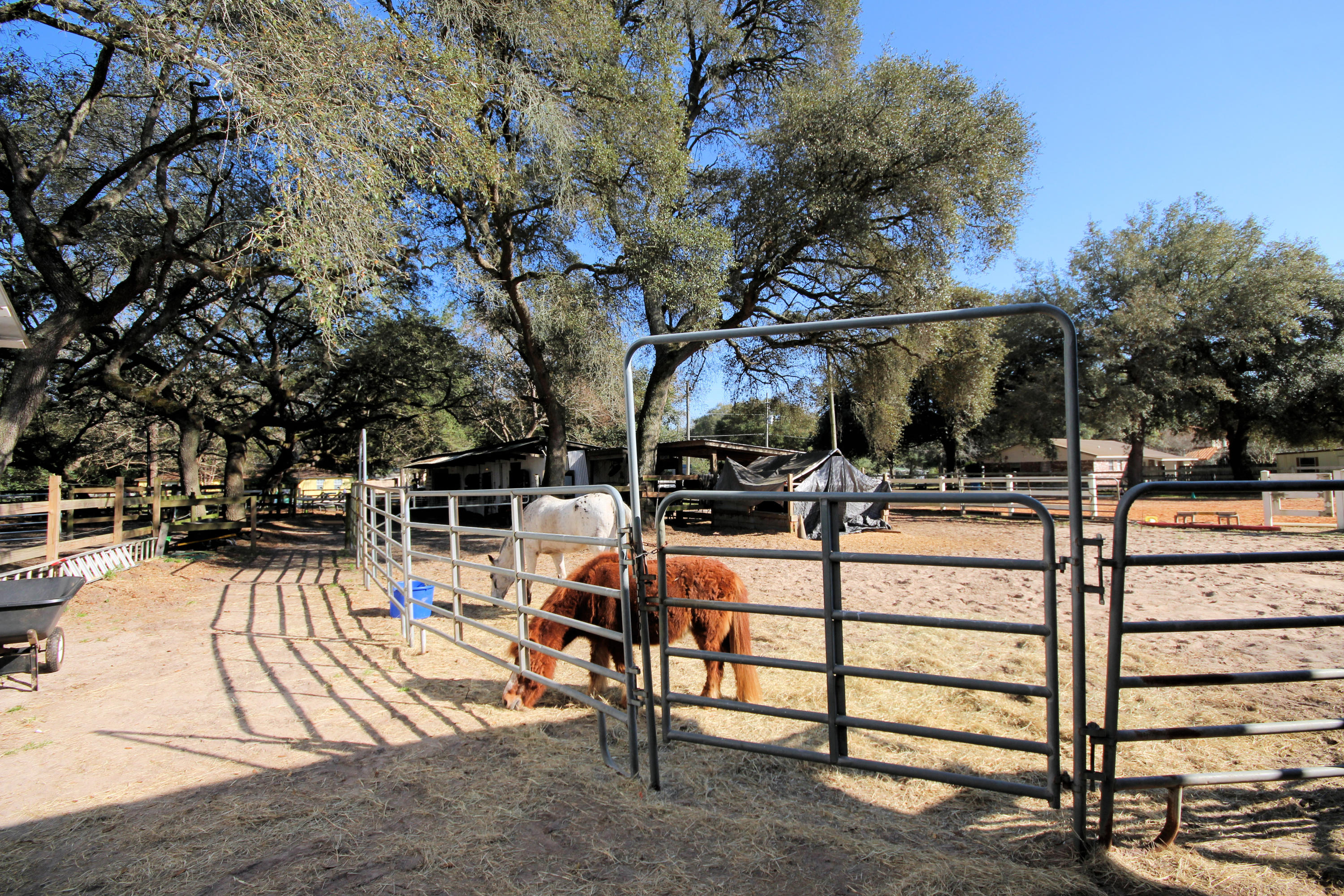 SEMINOLE - Residential