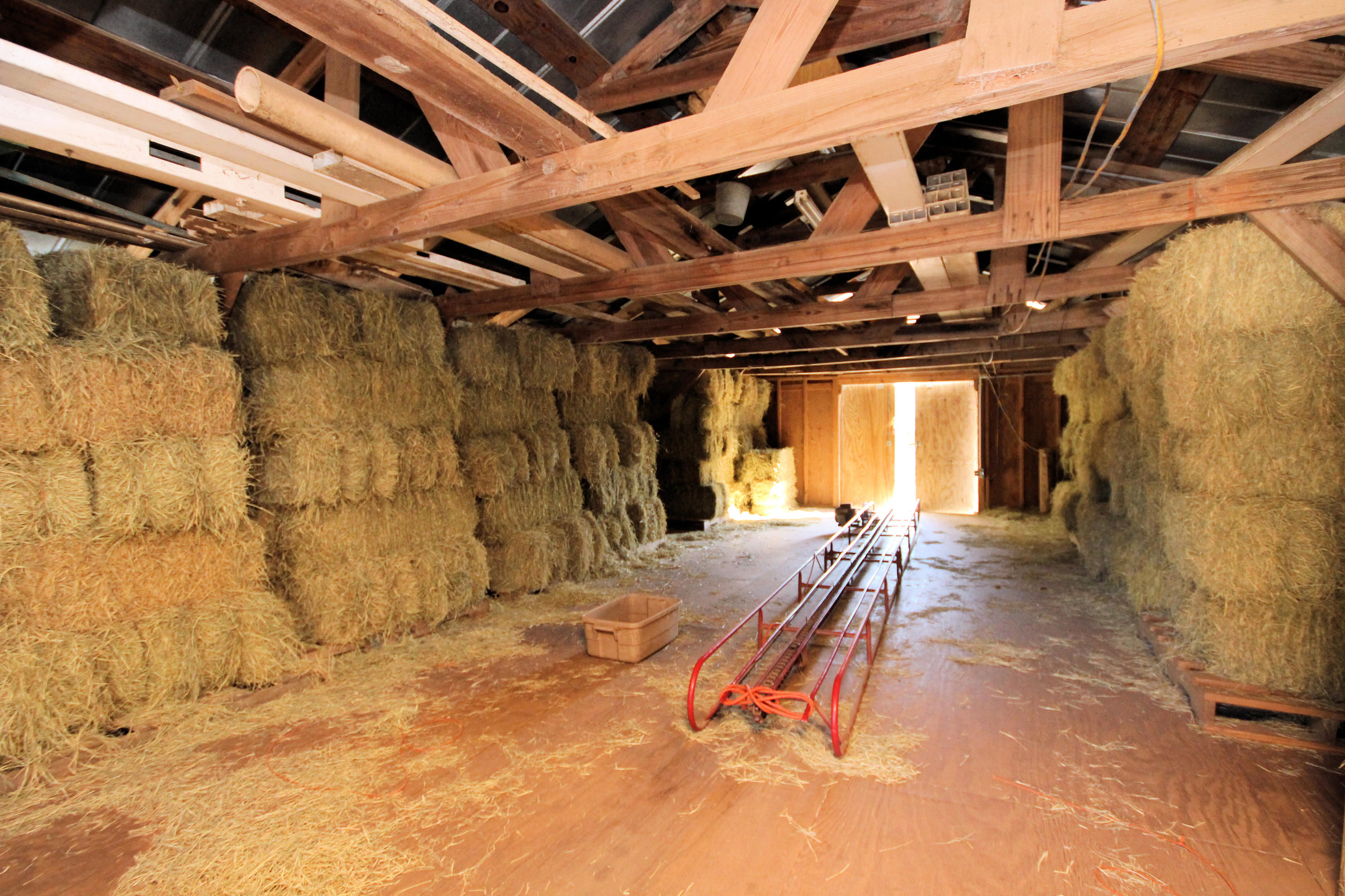 SEMINOLE - Residential