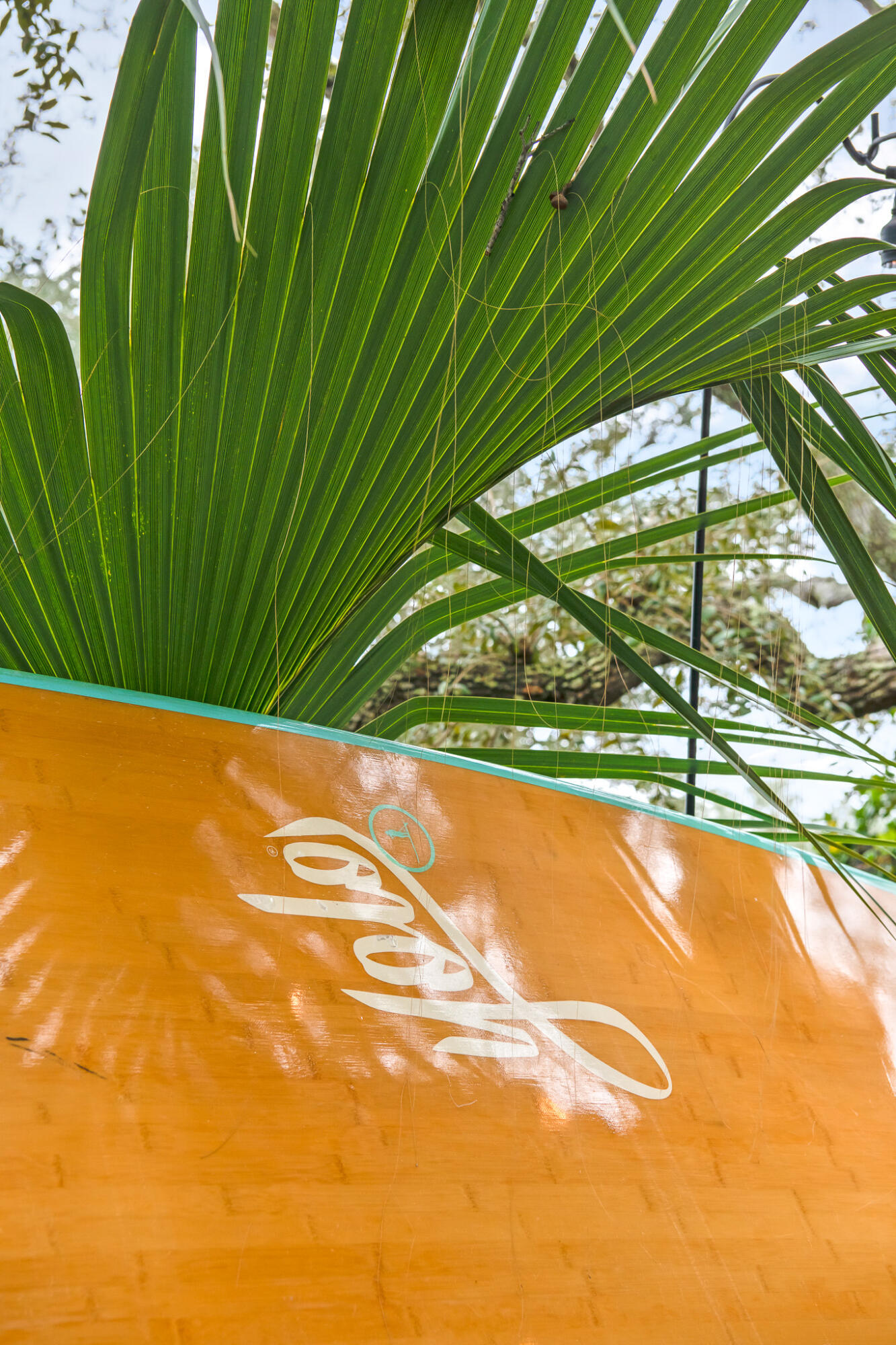 GRAYTON BEACH - Residential
