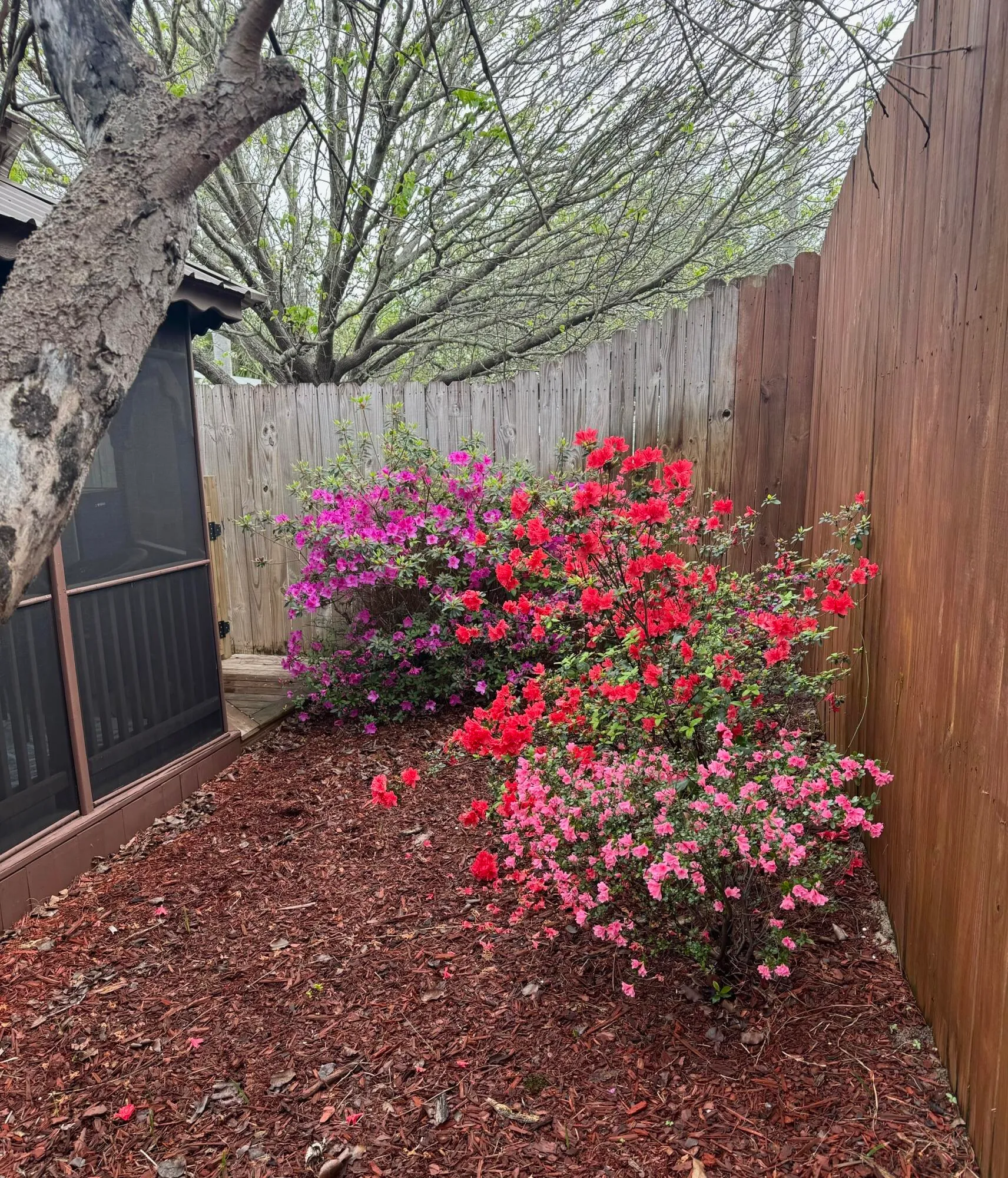 Miramar Beach, Florida 32550, United States, ,Land,Pending,50038