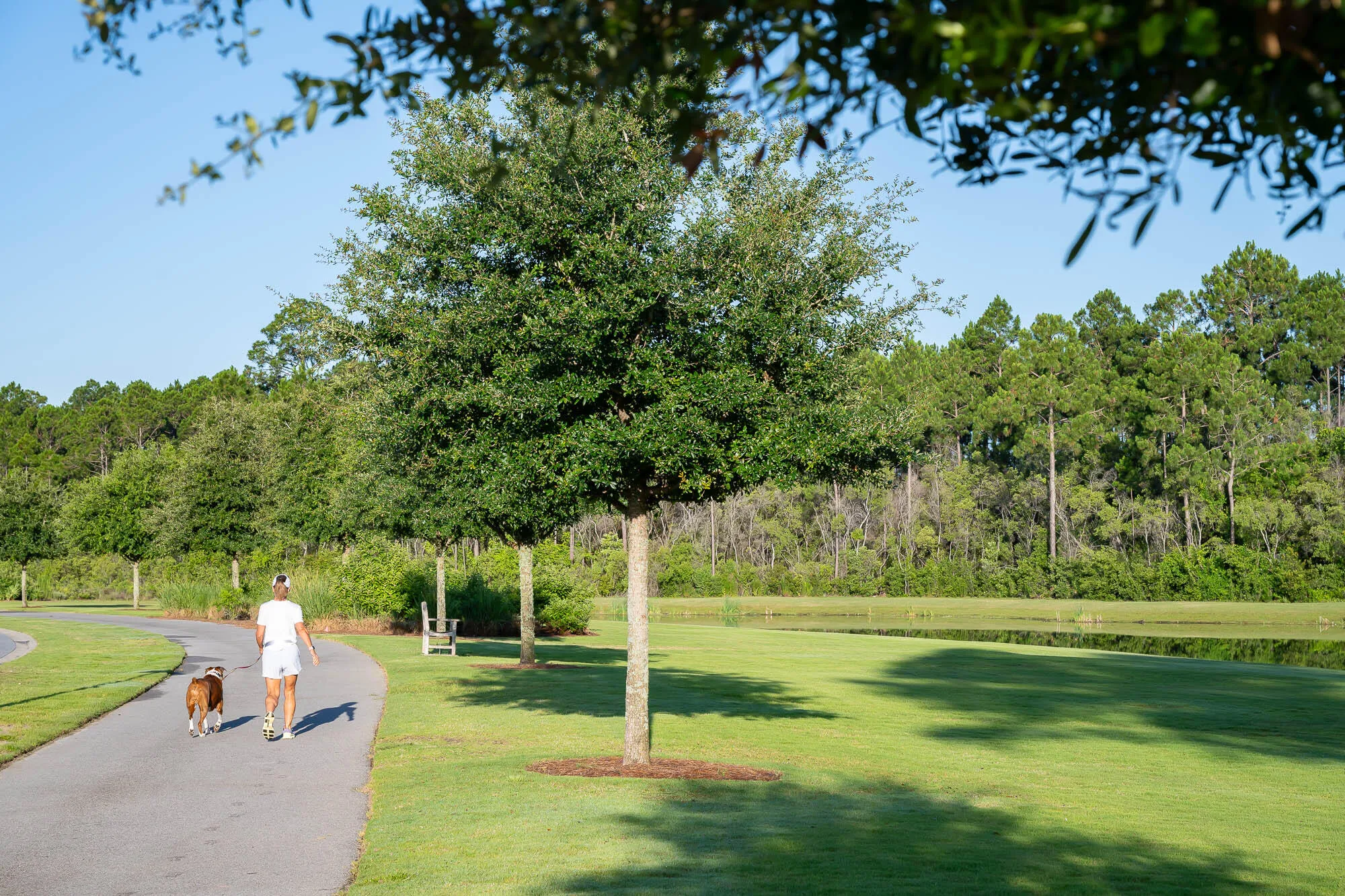 Watersound, Florida, 32461, United States, 5 Bedrooms Bedrooms, ,6 BathroomsBathrooms,Residential,Active,1889037