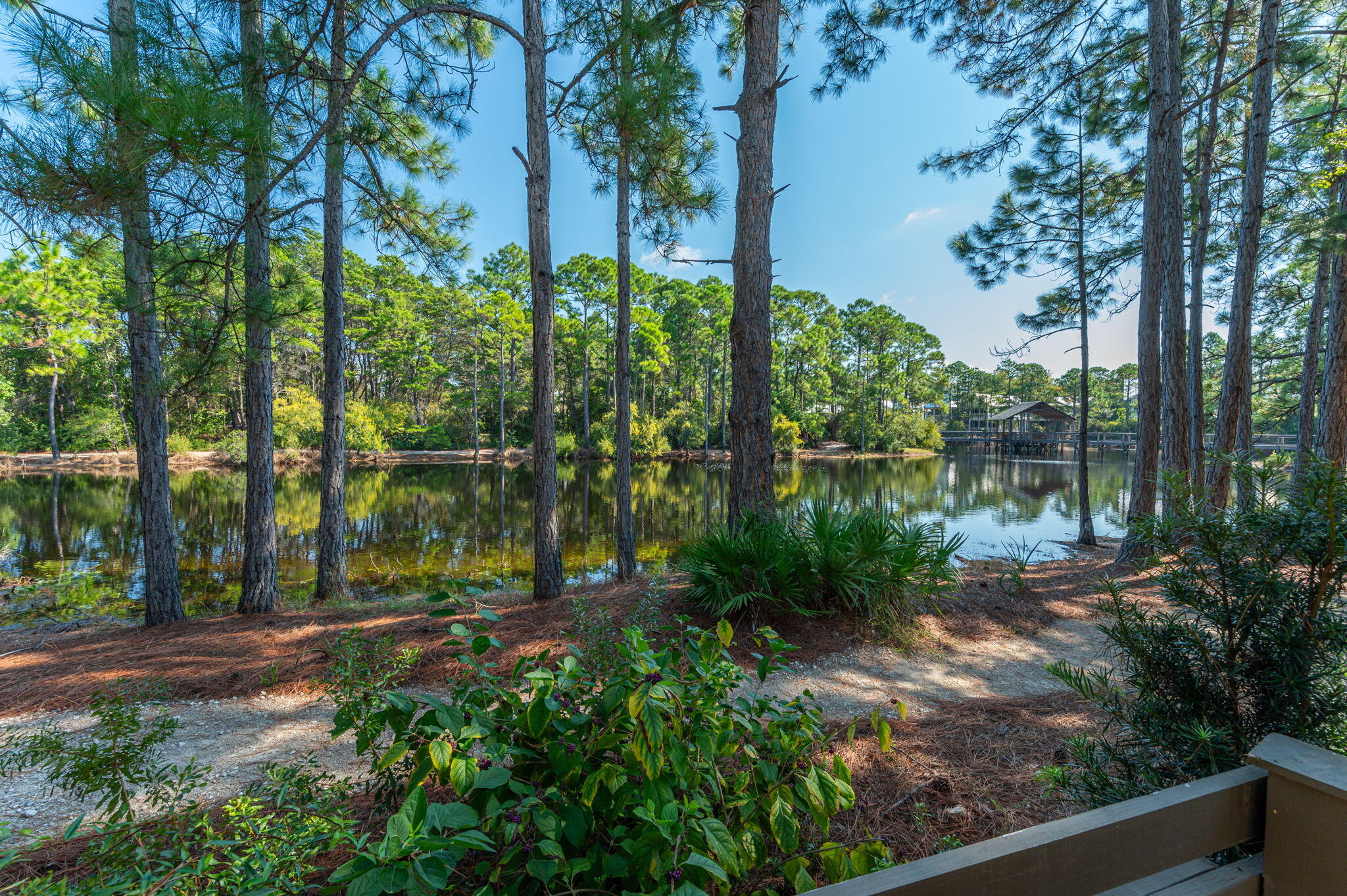 FOREST LAKES PH II - Residential