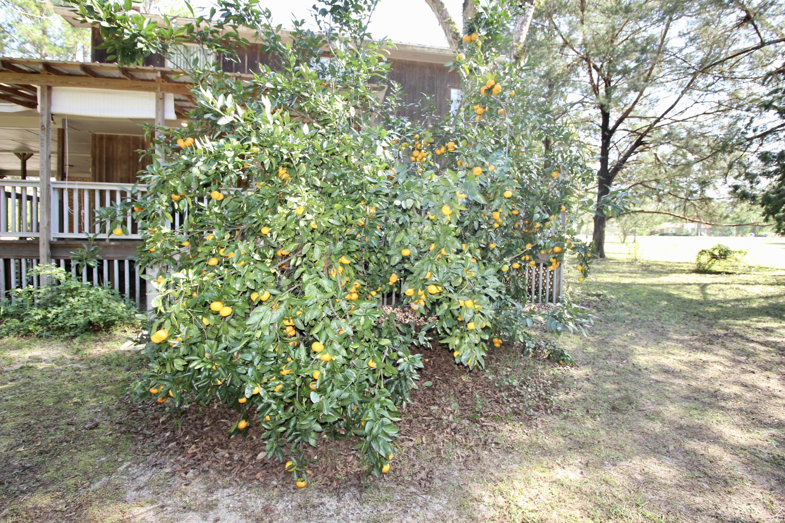 Pine Shadows S/D, unrecorded - Residential