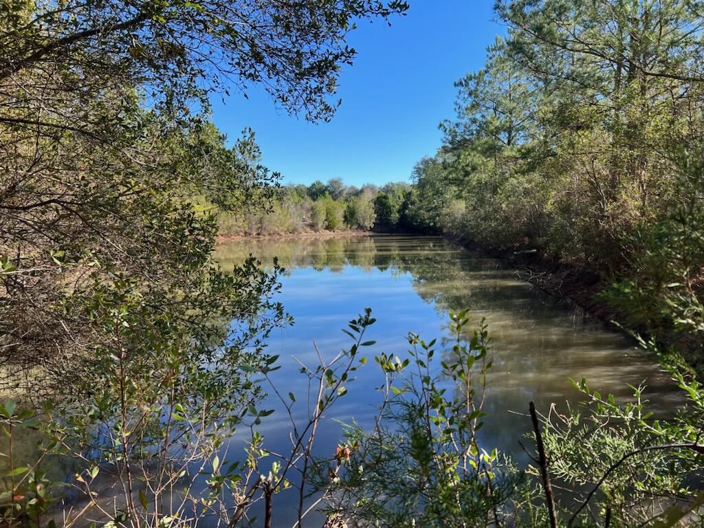 In search of a parcel of land in the country to build on or have for hunting? Deer tracks and scrapes on property. Level to gently rolling property. About half acre pond.  This 80 acre tract is located about 4 miles south of Bonifay and Interstate 10.  According to owner, there is an easement to the property on North side on Leavins Rd.  Cedar trees and small pines have grown up on the property that was once used for farming.  Old barb wire fencing and cross fencing needs replacing. Pretty property!
