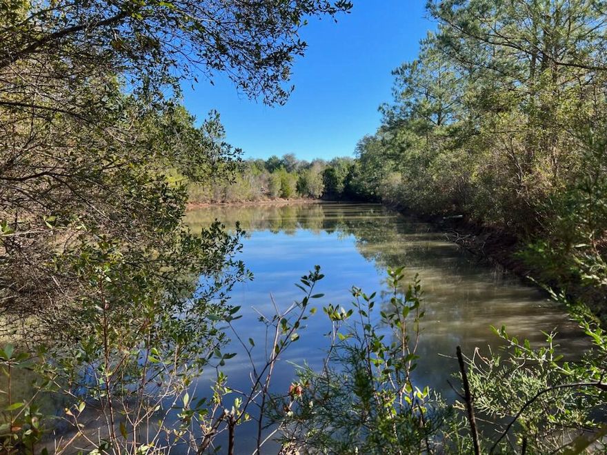 In search of a parcel of land in the country to build on or have for hunting? Deer tracks and scrapes on property. Level to gently rolling property. About half acre pond.  This 80 acre tract is located about 4 miles south of Bonifay and Interstate 10.  According to owner, there is an easement to the property on North side on Leavins Rd.  Cedar trees and small pines have grown up on the property that was once used for farming.  Old barb wire fencing and cross fencing needs replacing. Pretty property!