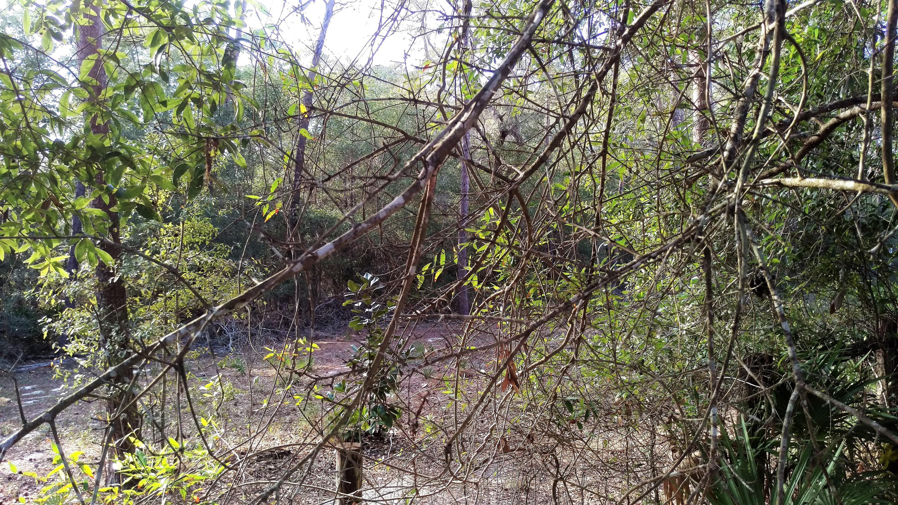 PARKWOOD ESTATES PH 1 BLUEWATER BAY - Residential