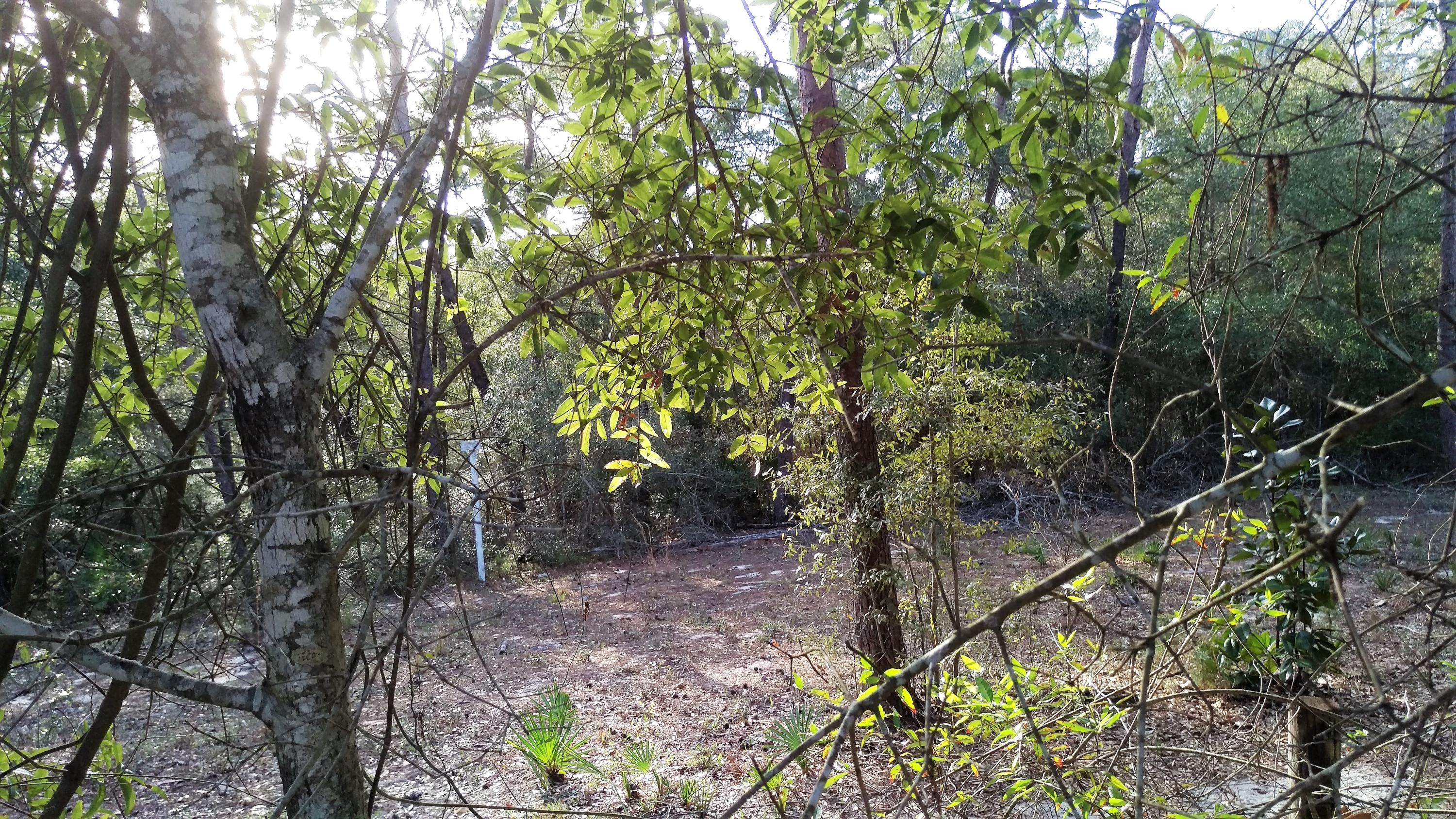 PARKWOOD ESTATES PH 1 BLUEWATER BAY - Residential