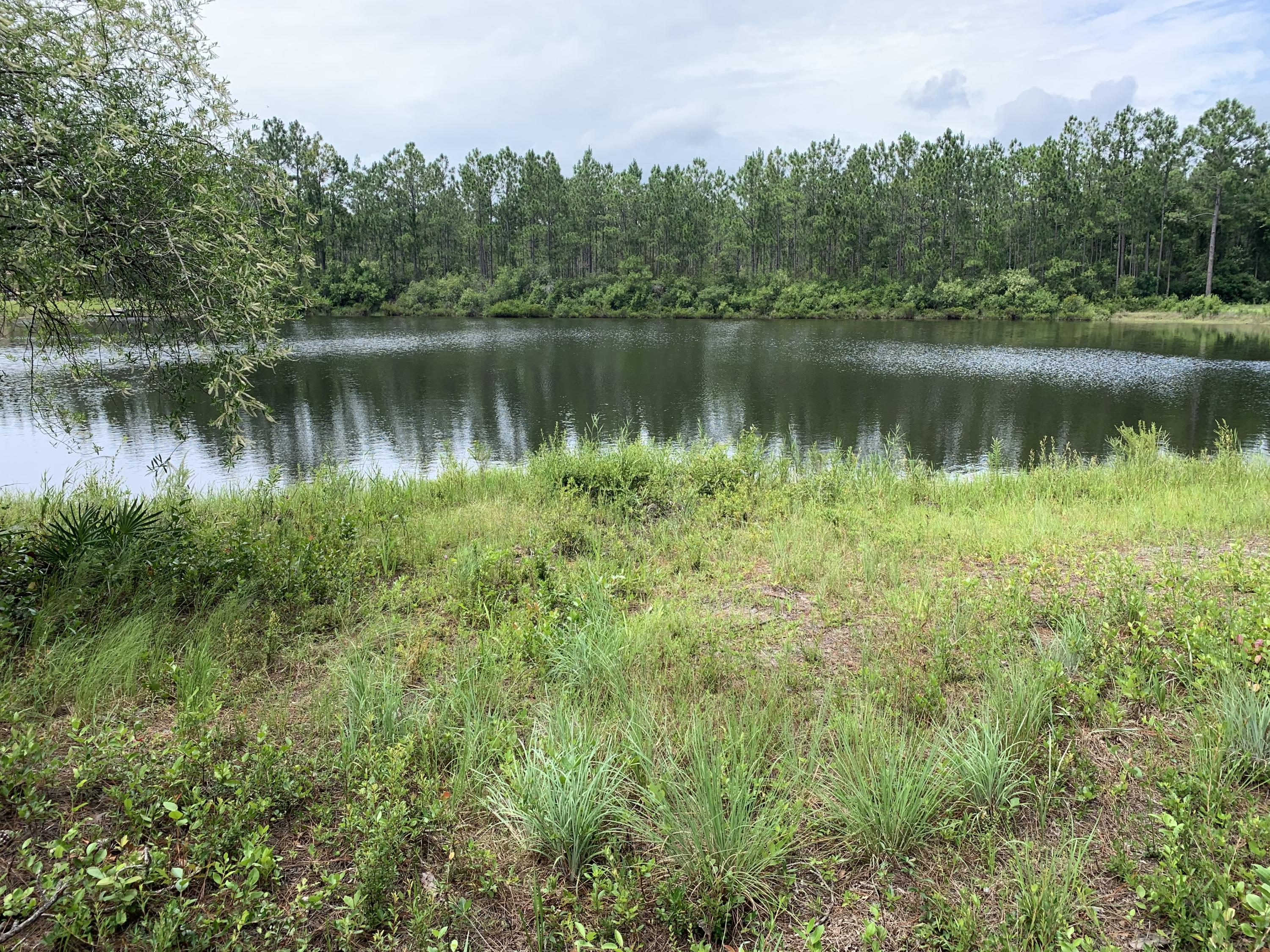 Build your dream on this waterfront lot in the heart of Santa Rosa Beach. Almost an acre on a serene and peaceful pond on a beautifully treed lot. A truly unique and amazing lot priced to sell. If you have been dreaming of finding the perfect lot, call today.