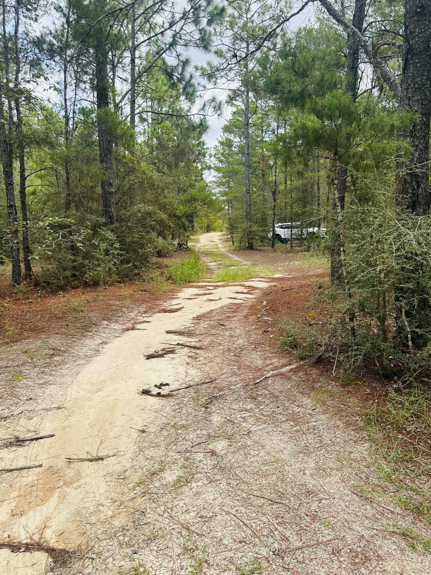 OAKWOOD HILLS UNIT II - Land