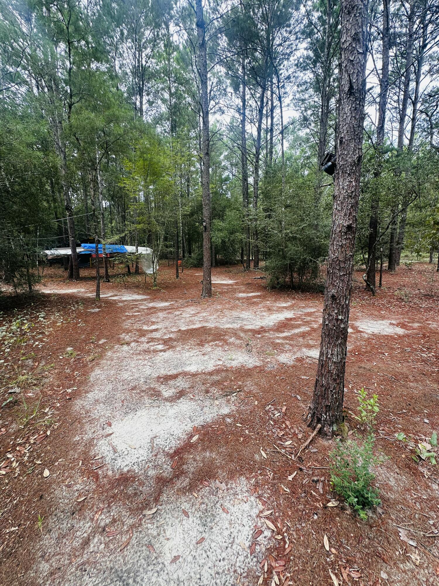OAKWOOD HILLS UNIT II - Land