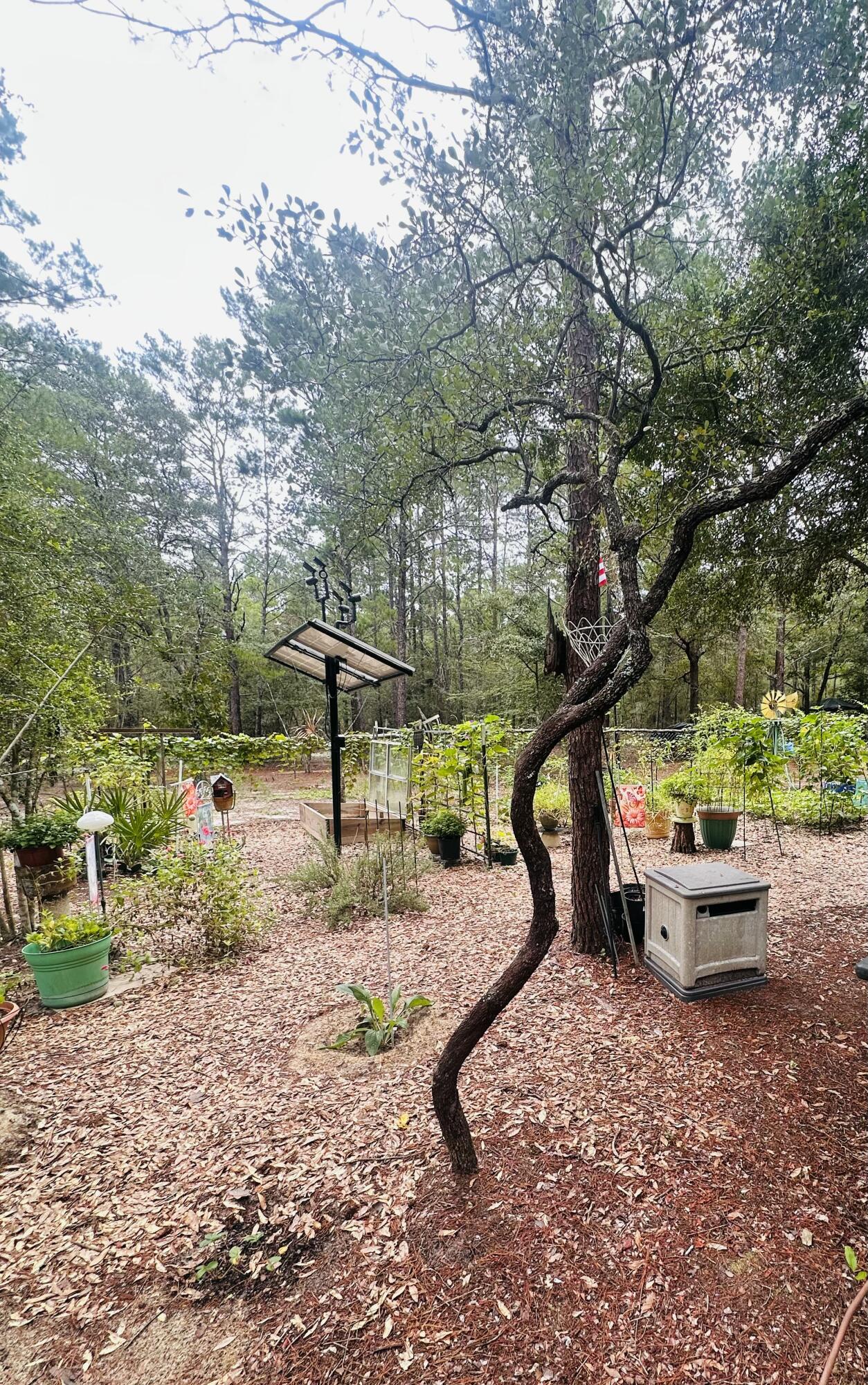 OAKWOOD HILLS UNIT II - Land