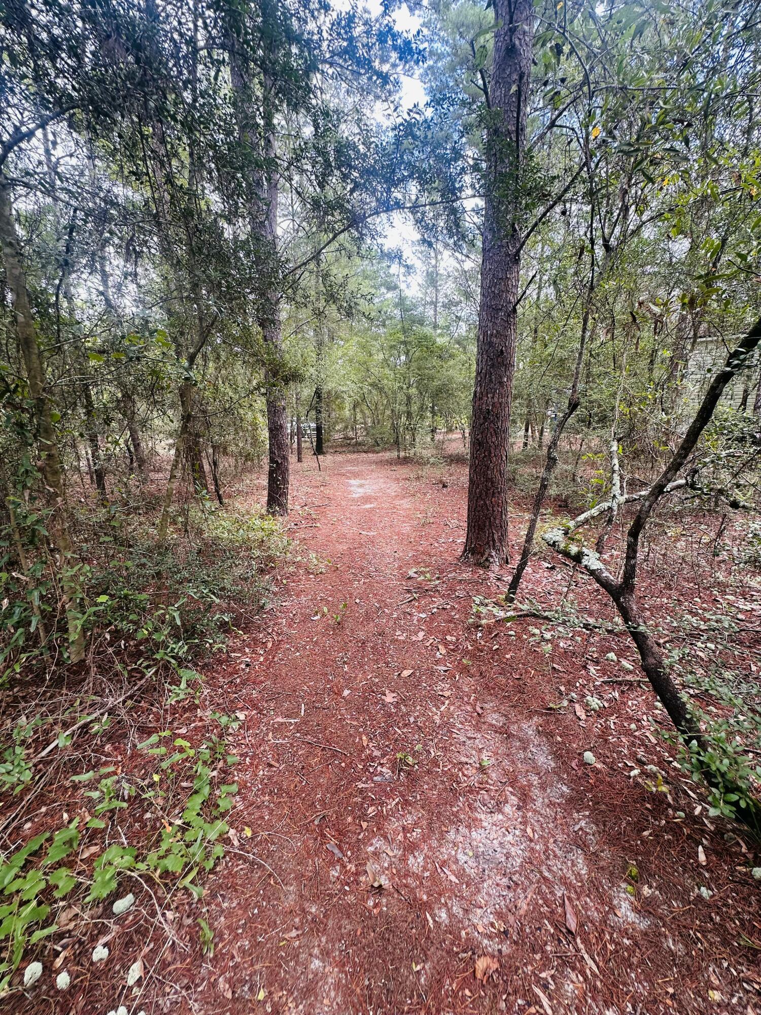 OAKWOOD HILLS UNIT II - Land