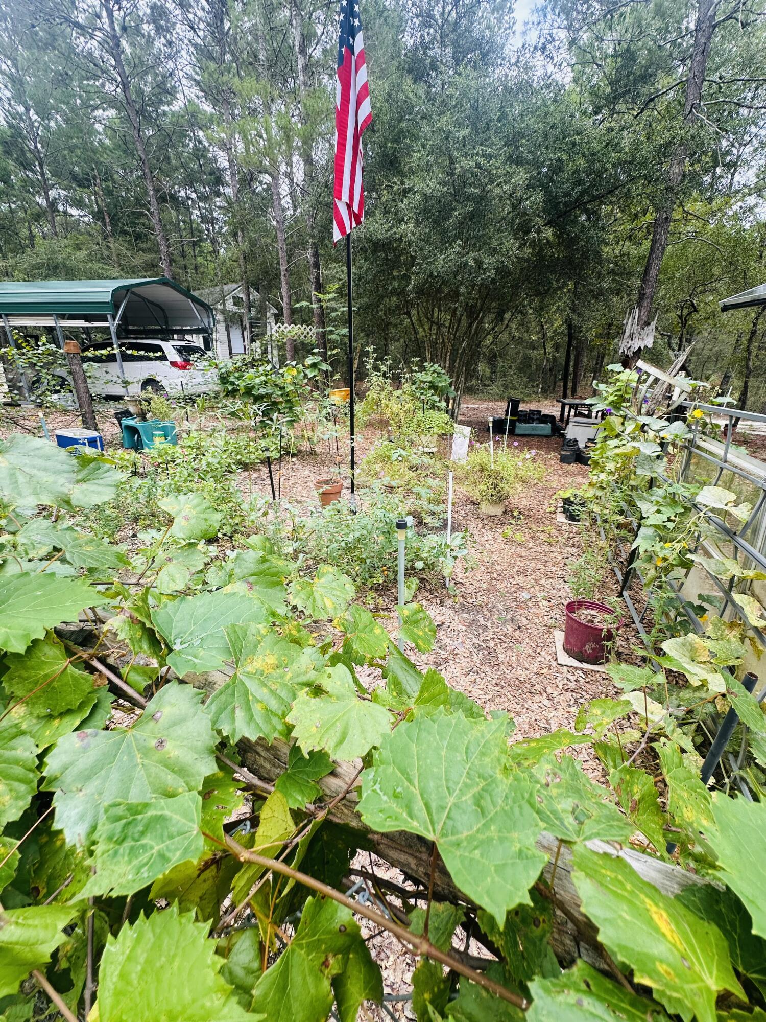 OAKWOOD HILLS UNIT II - Land