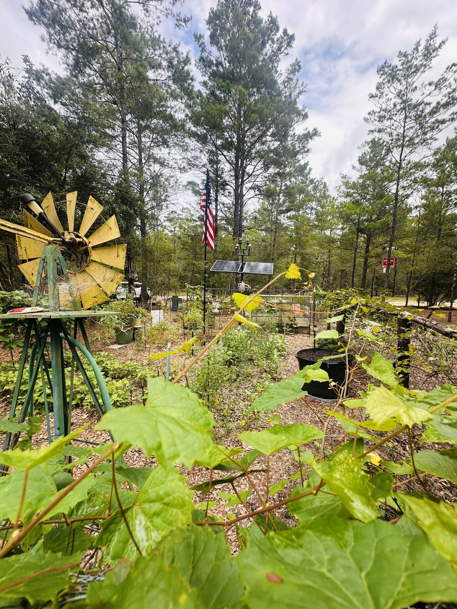OAKWOOD HILLS UNIT II - Land