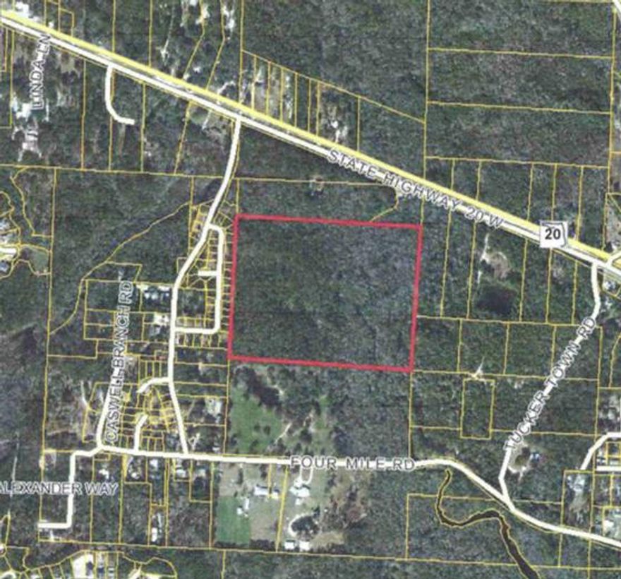 Beautiful 30 acres with privacy and seclusion in the heart of Freeport. Land is zoned ''high density'' R-3 allowing up to 14 units/acre. There is an additional 20 acre parcel to the South with a 3 bed/2bath home on the property, that is also available. Land is perfect for Apartments or Townhomes and/or could be an excellent horse property as well. Owner may do some Owner financing with decent down payment.