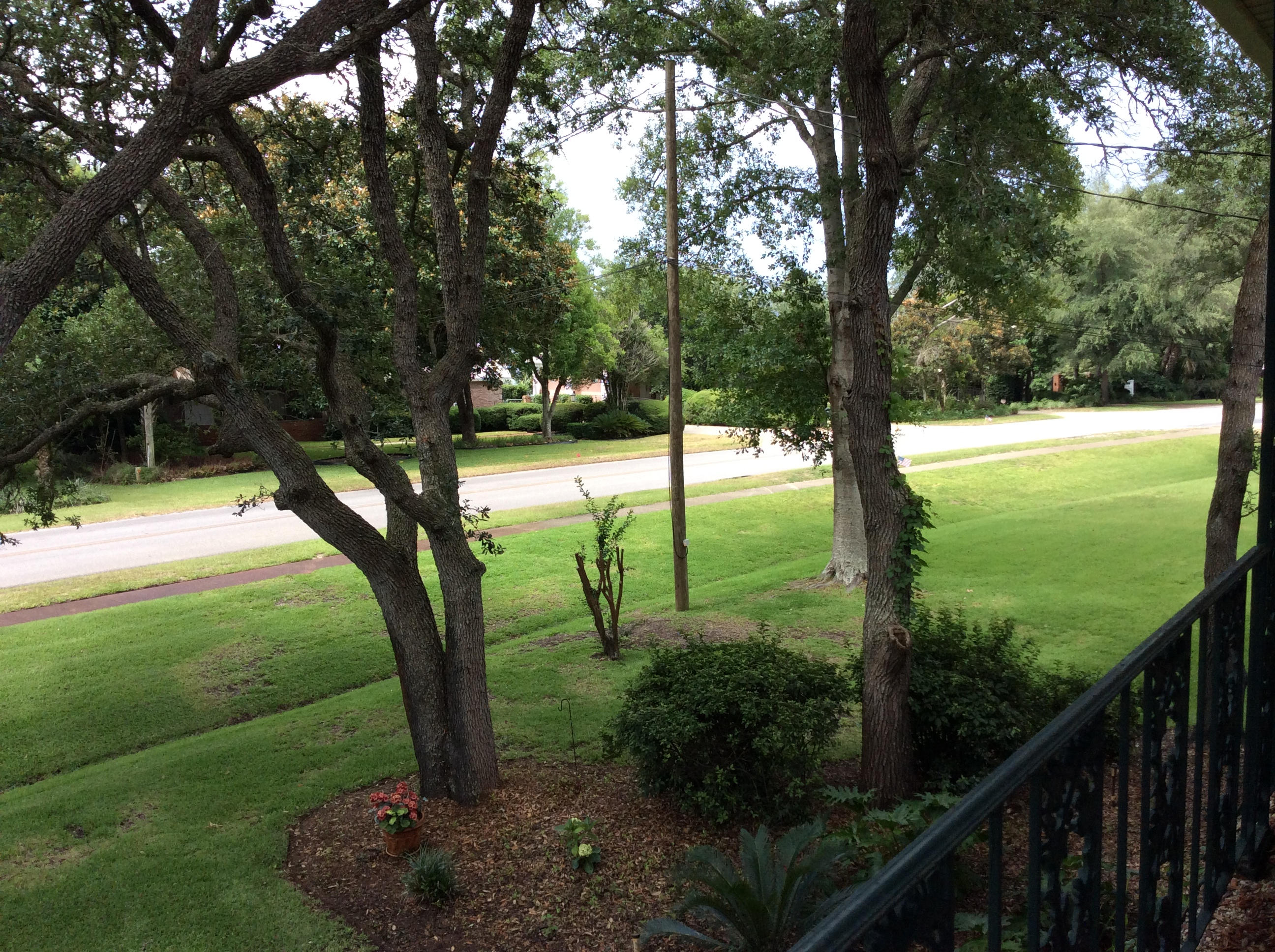 FOREST PLACE S/D - Residential