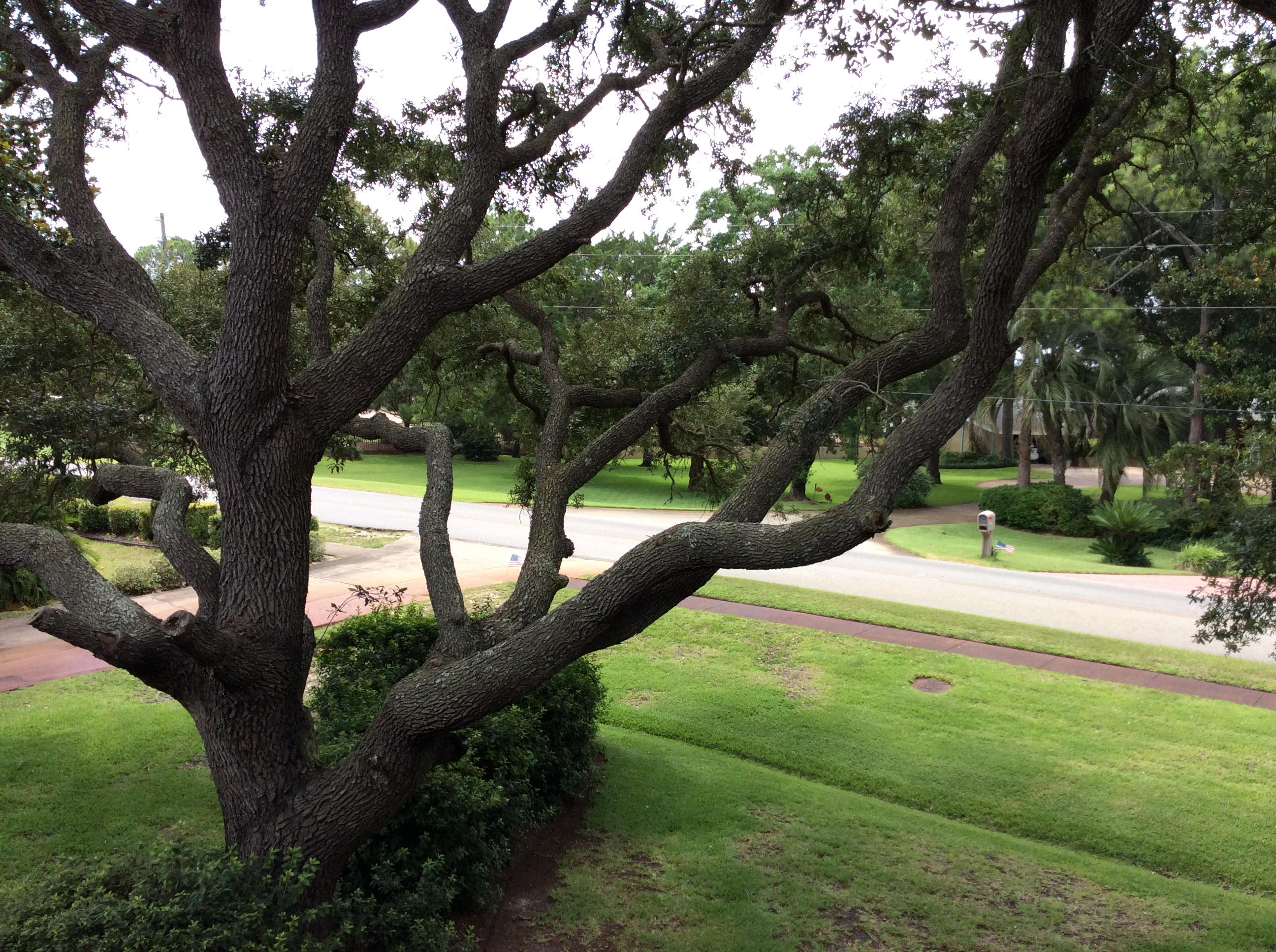 FOREST PLACE S/D - Residential