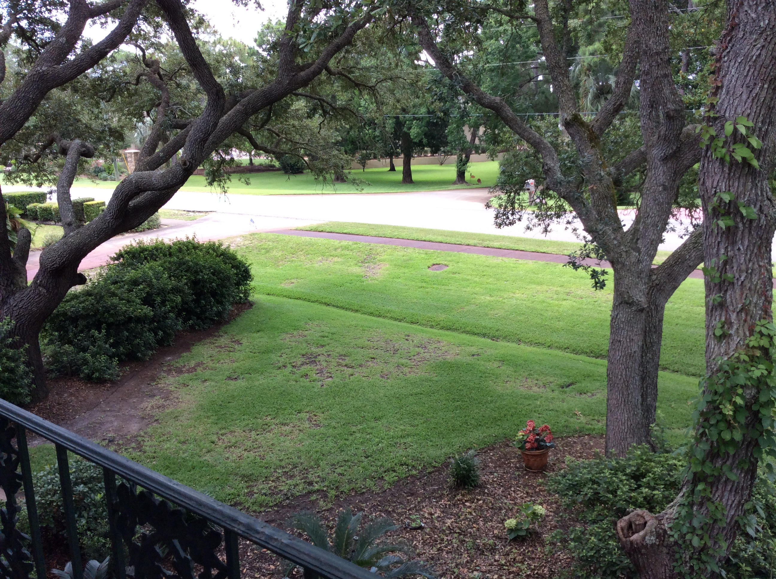 FOREST PLACE S/D - Residential