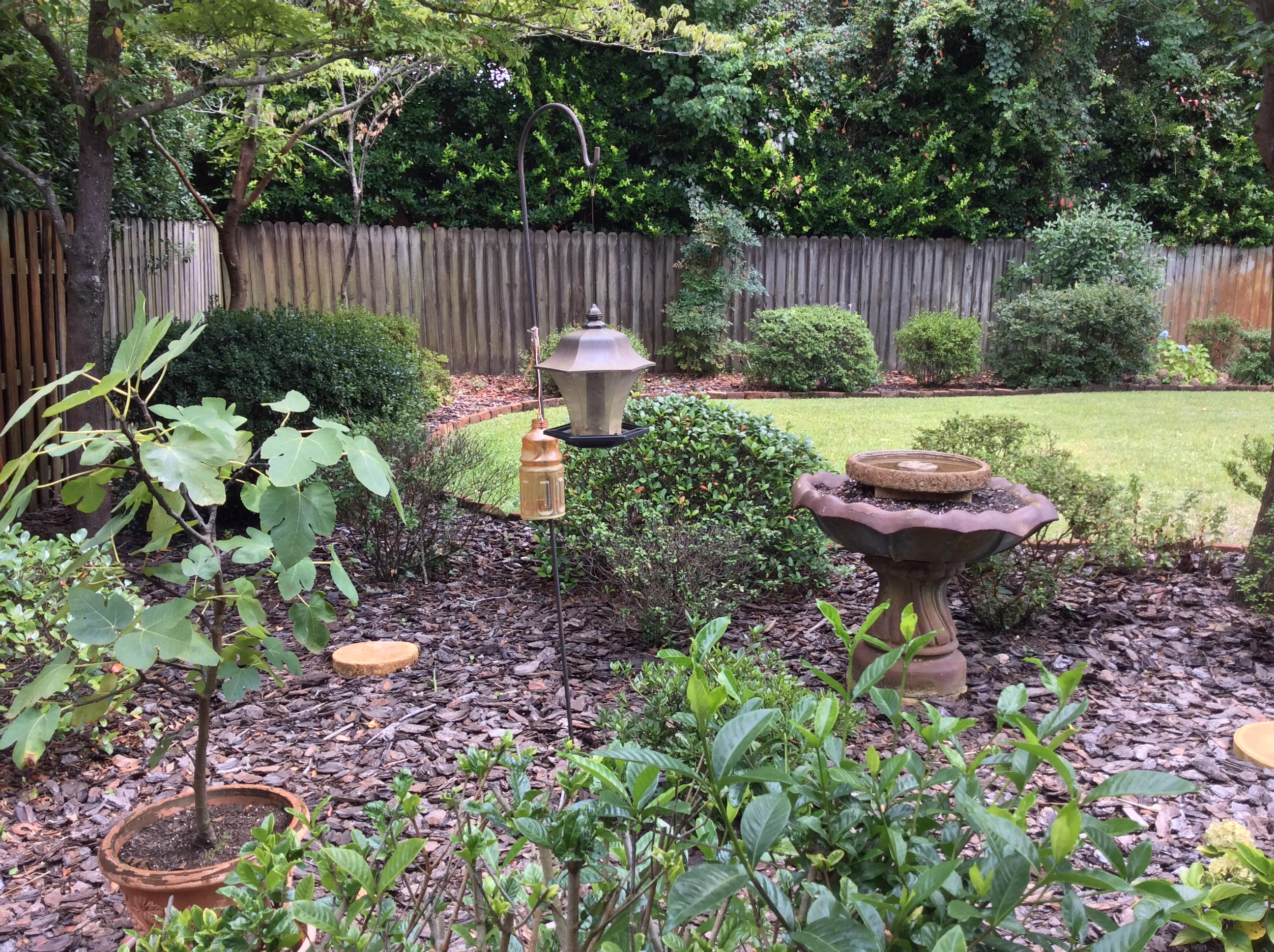 FOREST PLACE S/D - Residential