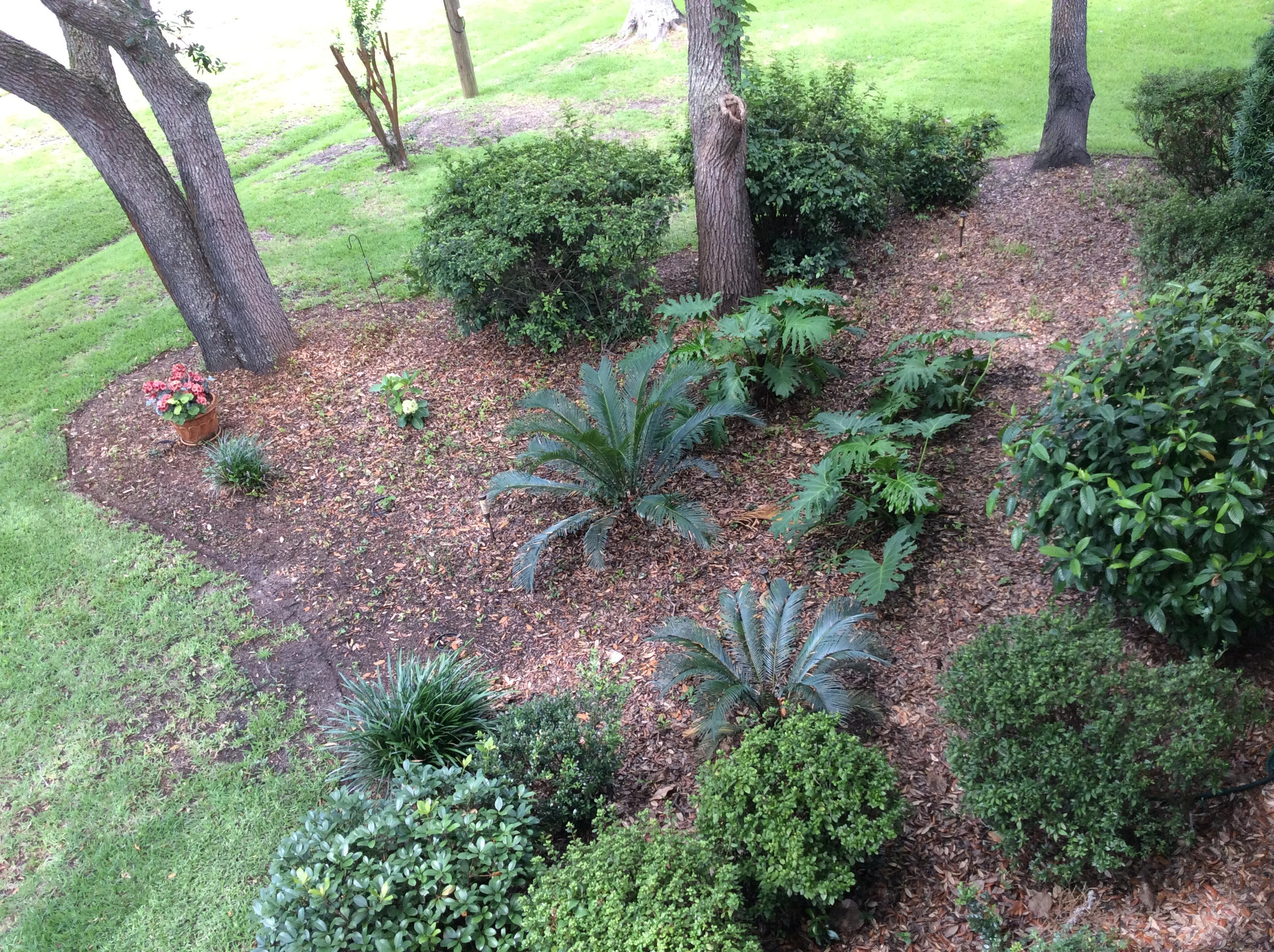 FOREST PLACE S/D - Residential