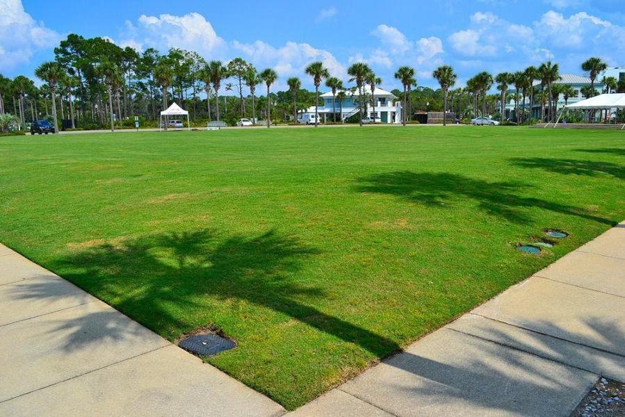 Gulf Place Courtyard - Residential