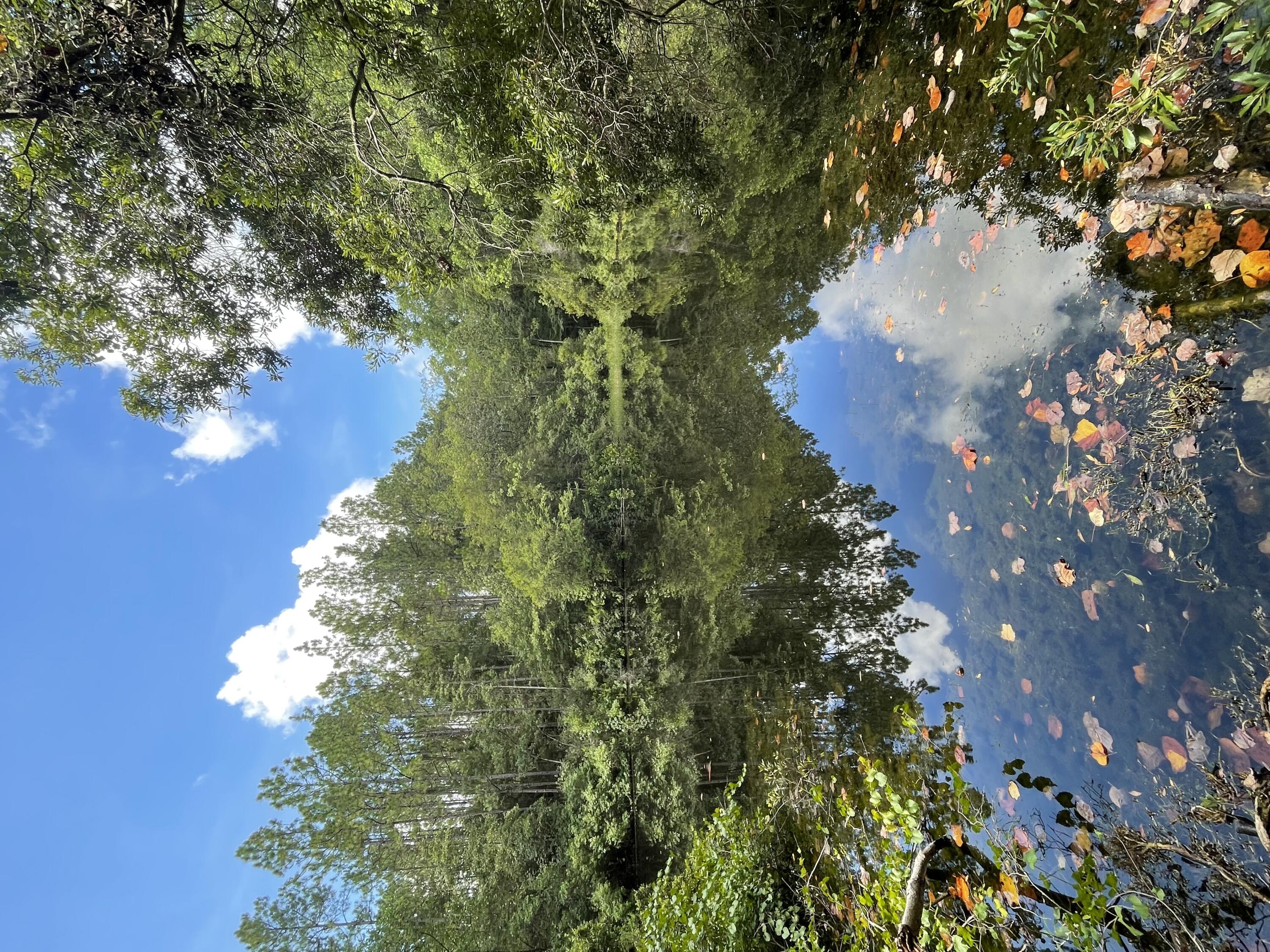 UNRECORDED SUBDIVISION - Residential