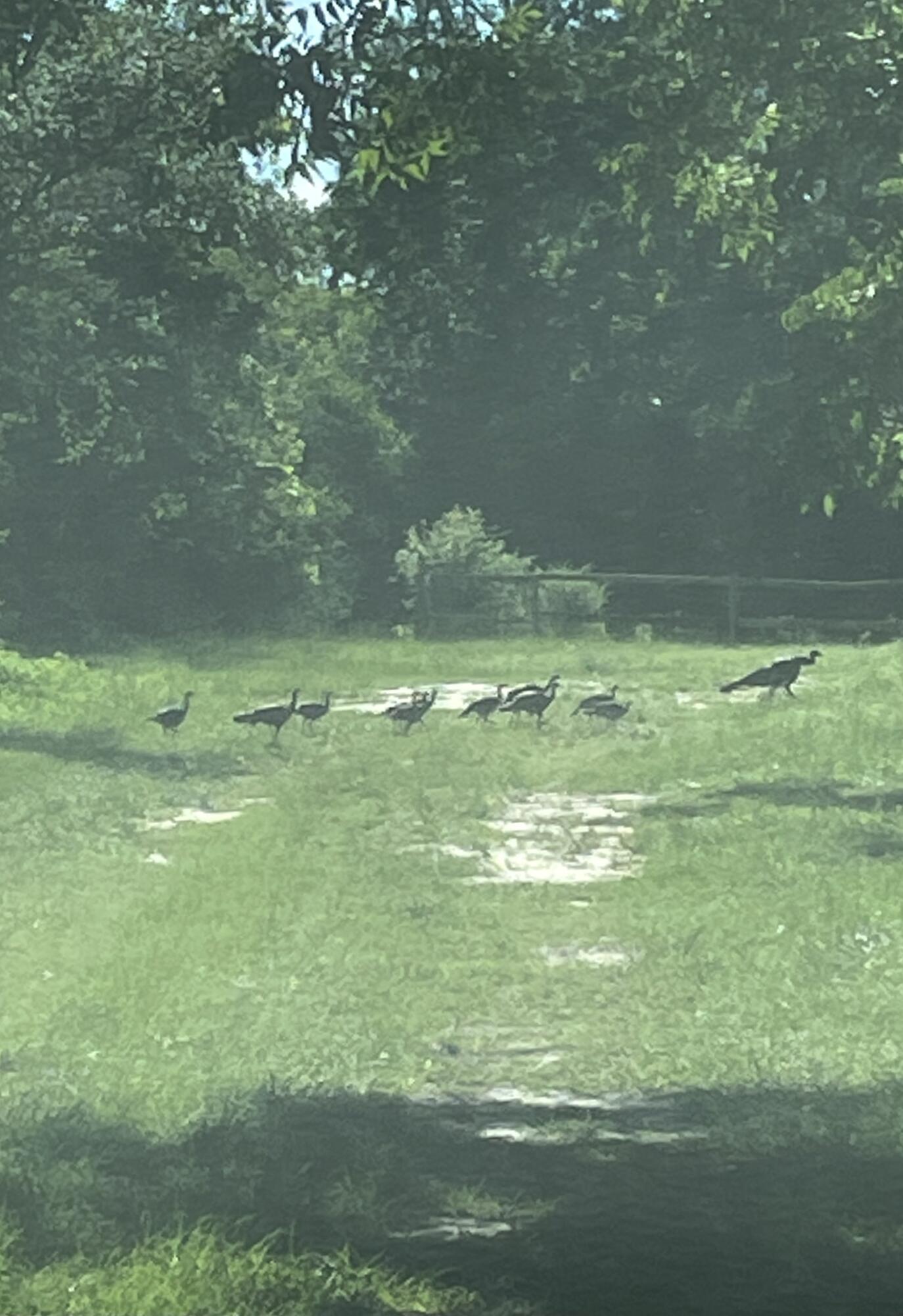 UNRECORDED SUBDIVISION - Residential