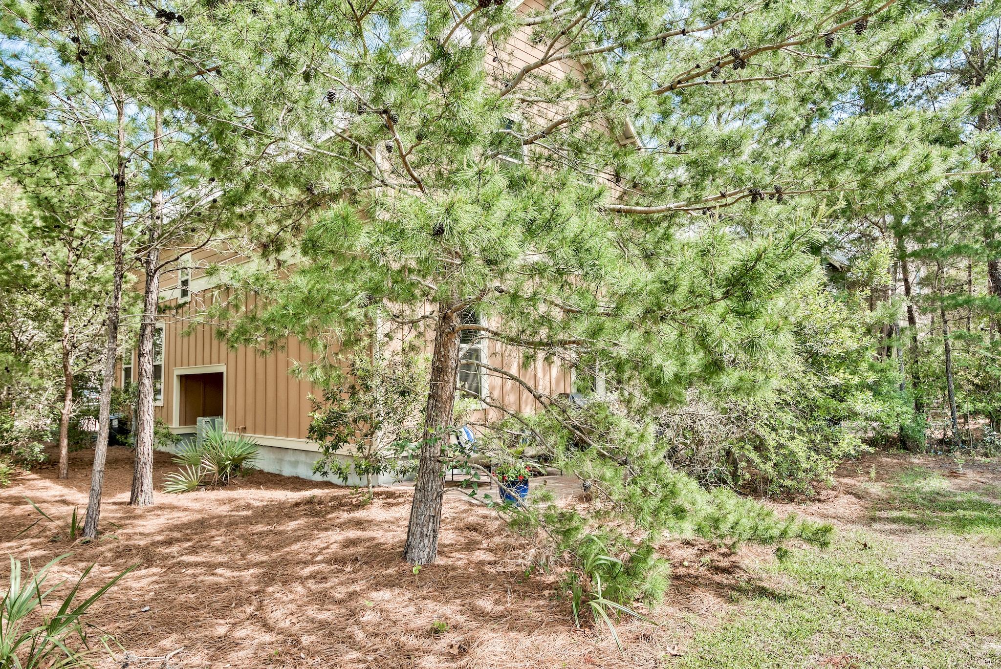 COTTAGES AT SANTA ROSA BEACH - Residential