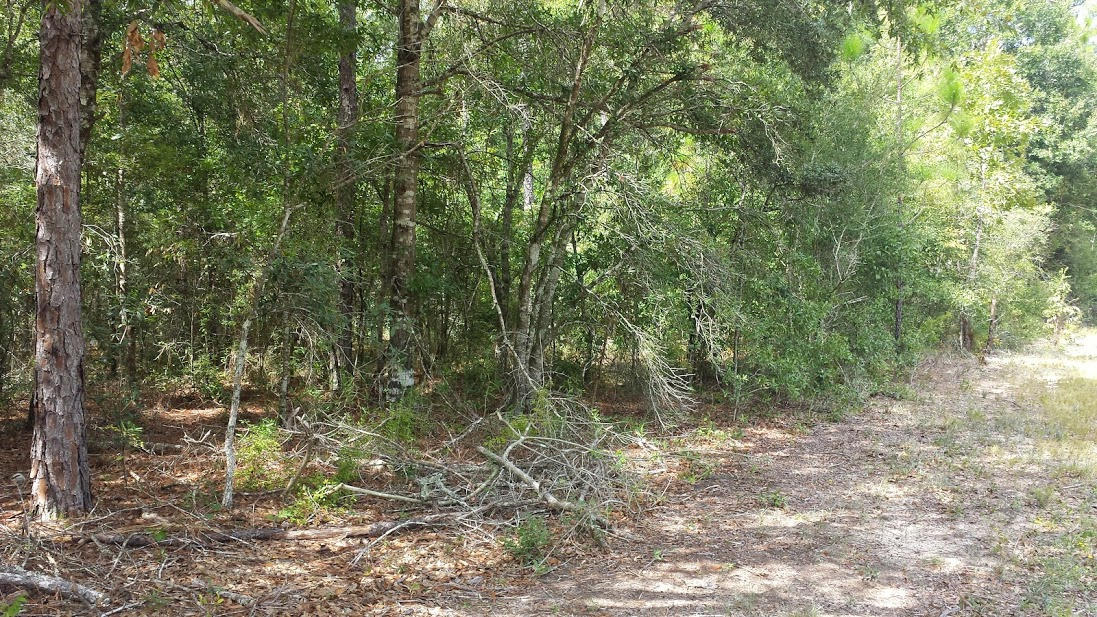 METES & BOUNDS - Farm