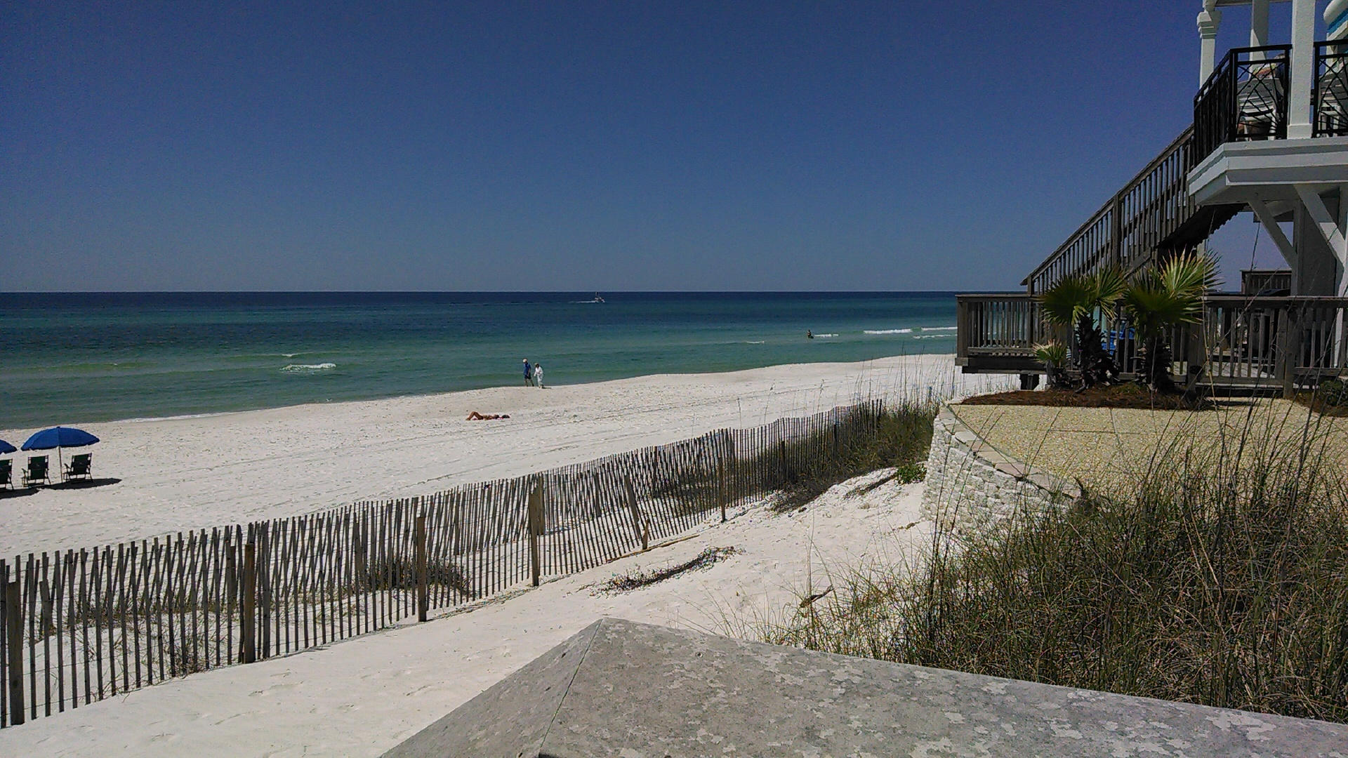Heron at Inlet Beach - Land