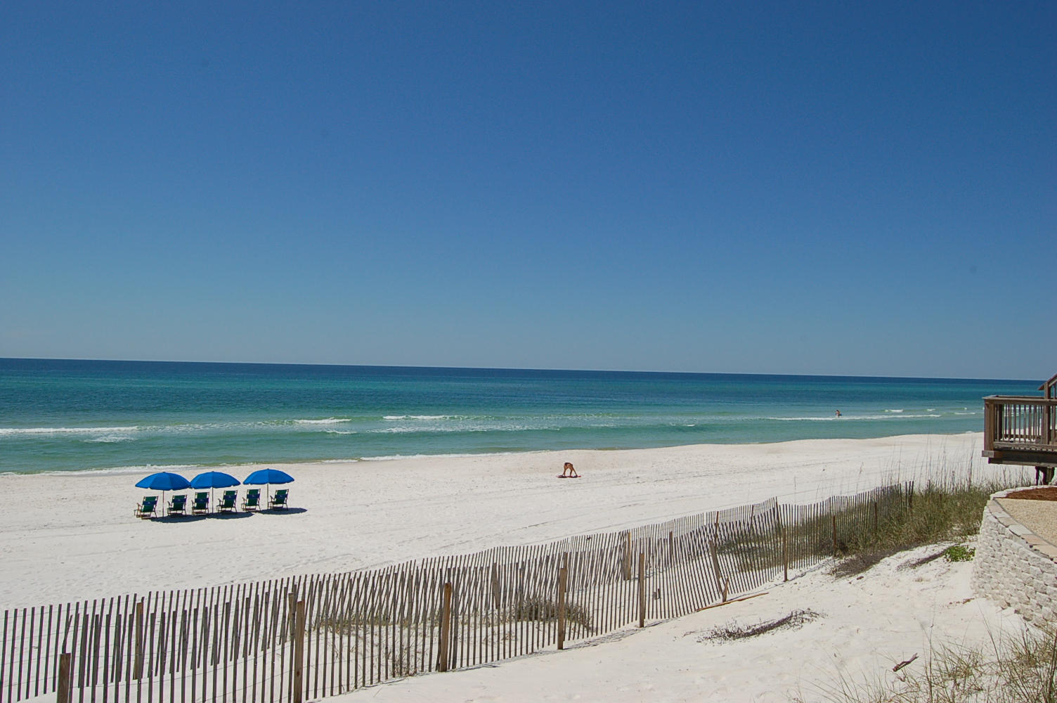 Heron at Inlet Beach - Land