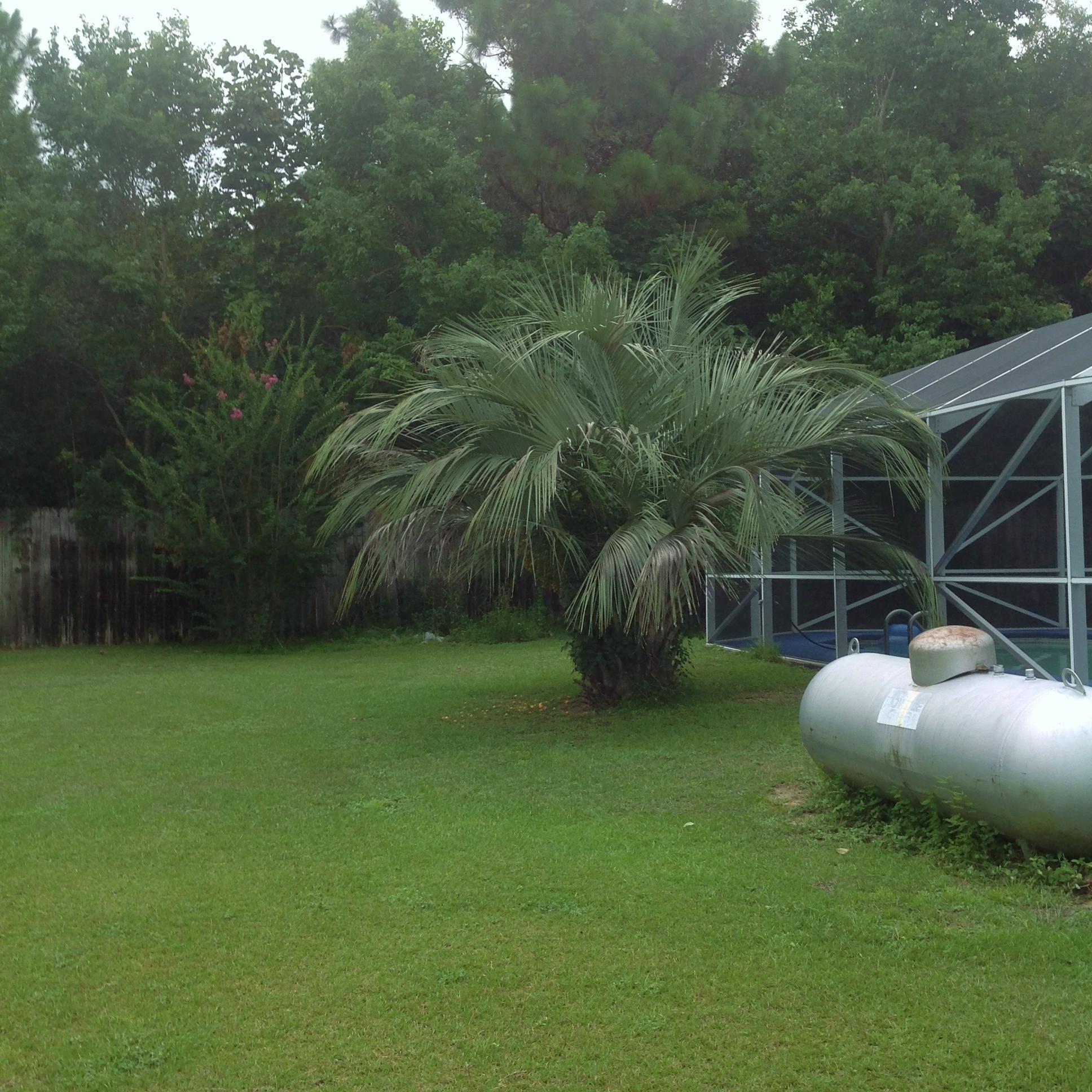 CORONADO VILLAGE PH 3 - Residential