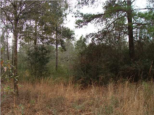 If you are a sportsman, don't miss this opportunity to acquire 41+ acres of prime hunting land in Holmes County, just an hour north of the Gulf beaches. Property has easy access, and is level to gently rolling and wooded with pines, hardwoods, and cypress. There are also some nice open areas. A recent walk of the property revealed numerous deer tracks. Year-round Hurricane Creek, which stretches all the way from Leonia to the Pea River at the Florida/Alabama state line, runs through the middle of the property and has a sandy bottom. If you appreciate the outdoors, this property deserves a look as a hunting camp, a place for horses, or a site to build your dream home in a beautiful, secluded, but readily accessible area, just a half hour Northeast of DeFuniak Springs.