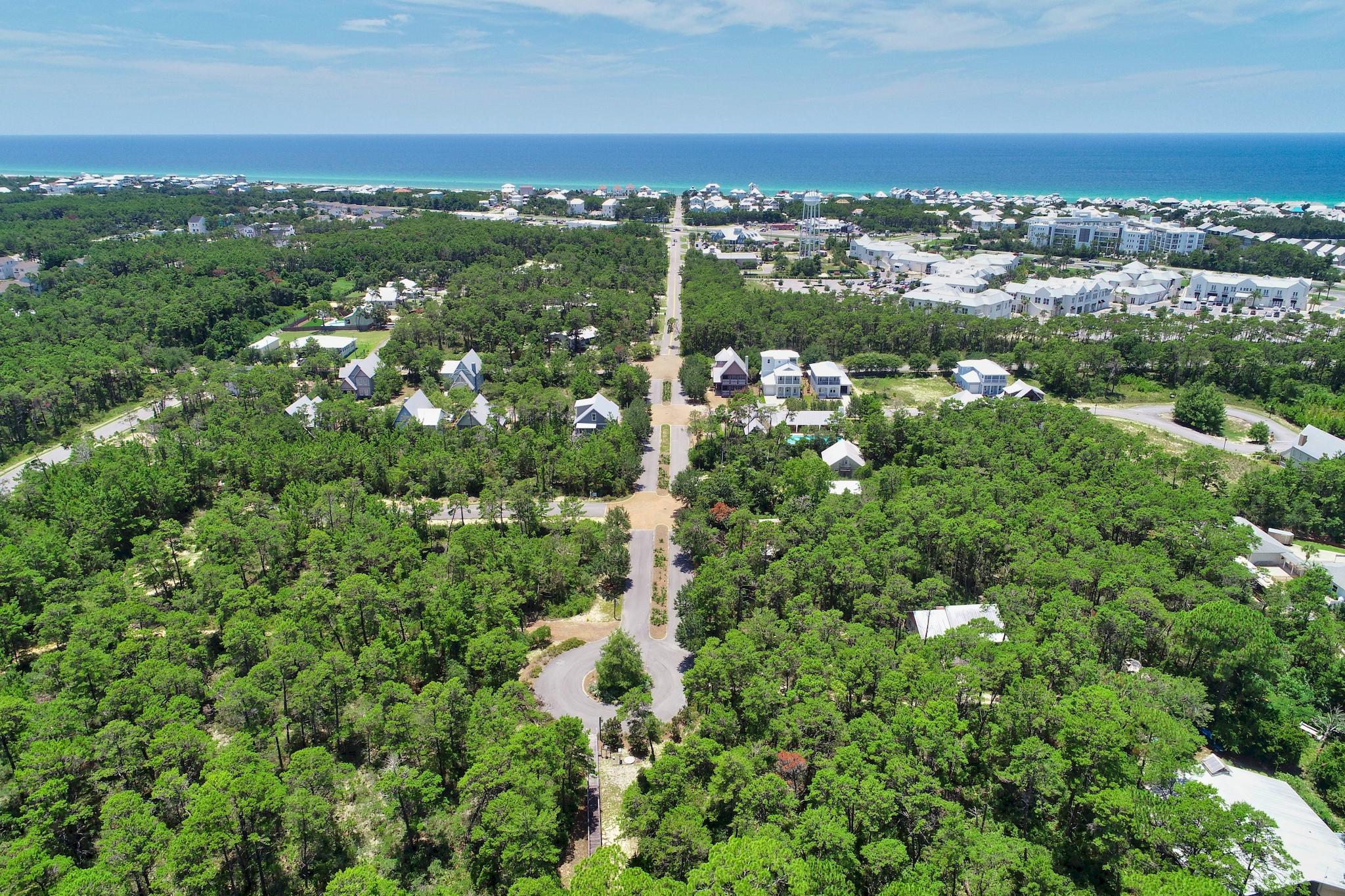 THE PRESERVE AT INLET BEACH - Residential