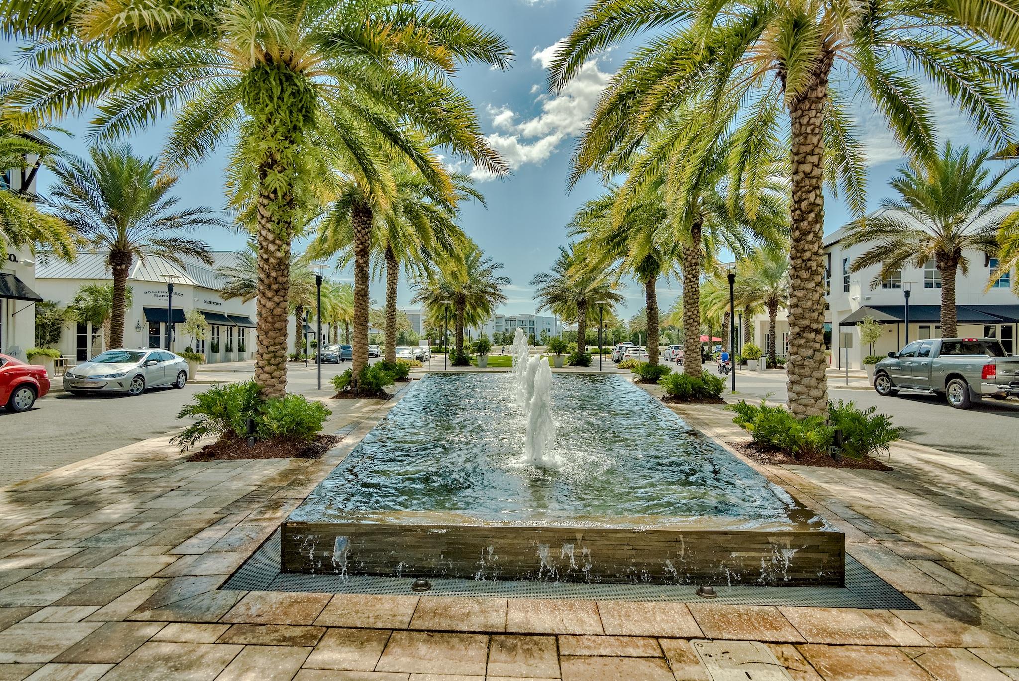 THE PRESERVE AT INLET BEACH - Residential