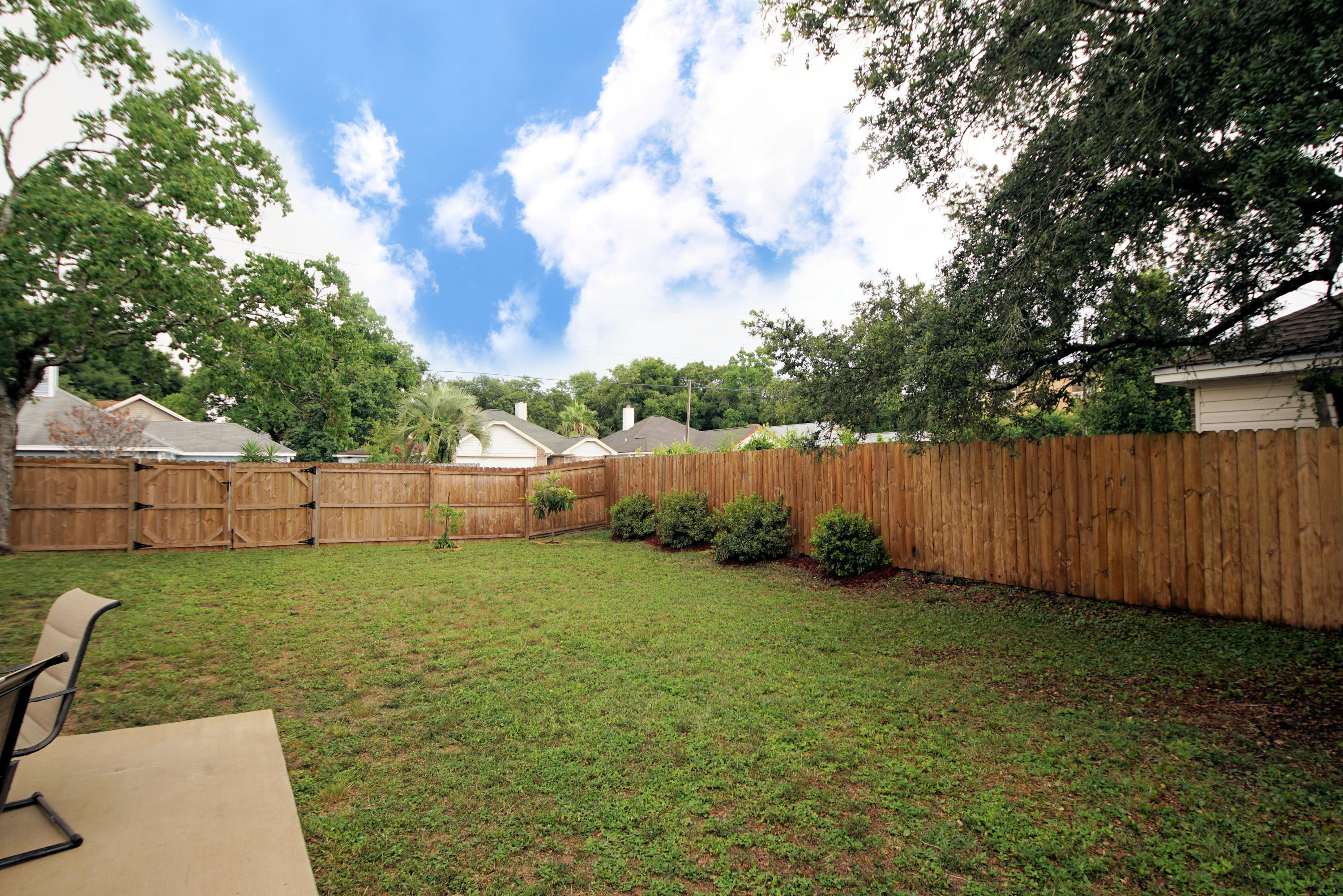 Summer Tree - Residential