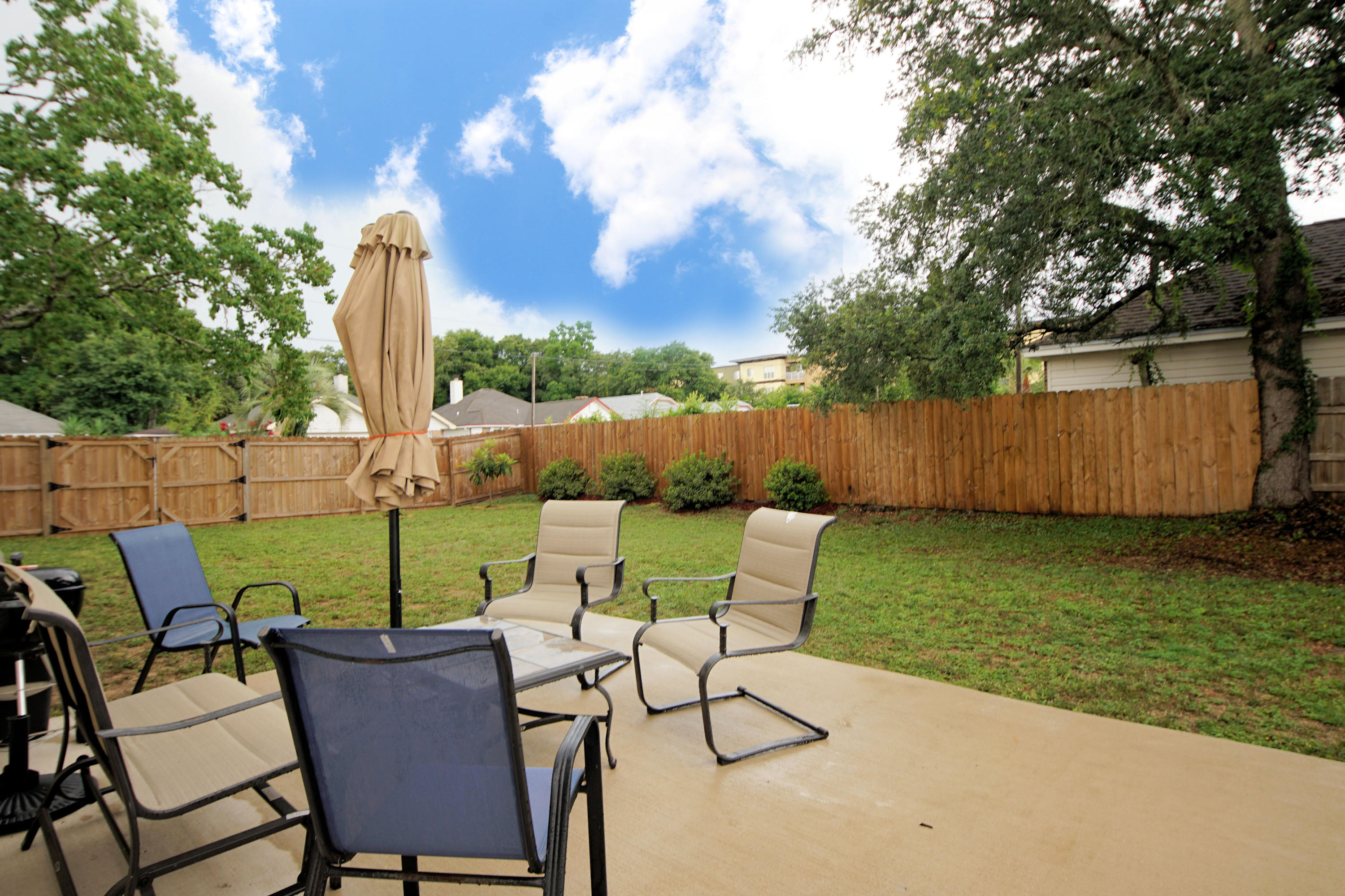 Summer Tree - Residential