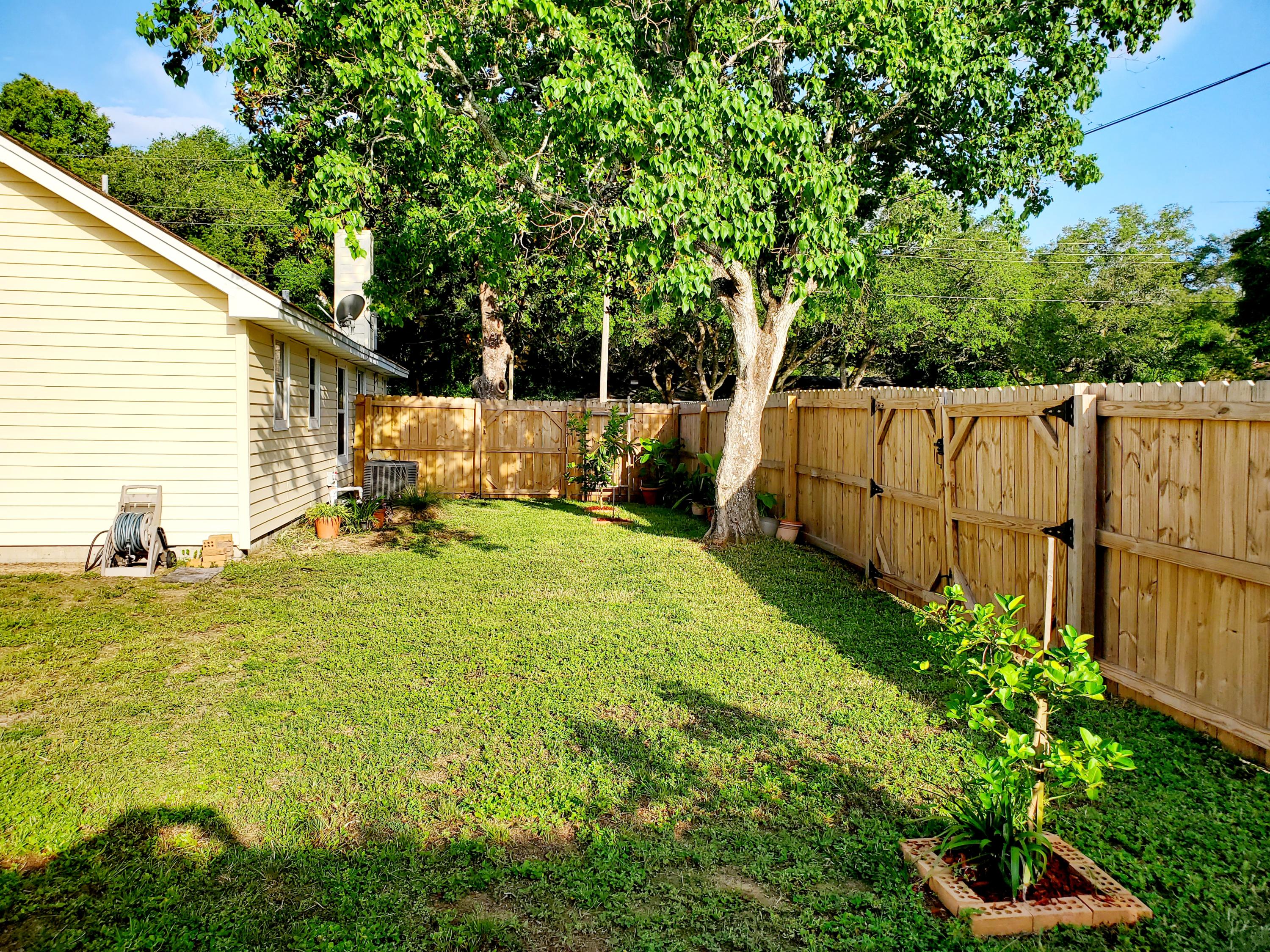 Summer Tree - Residential