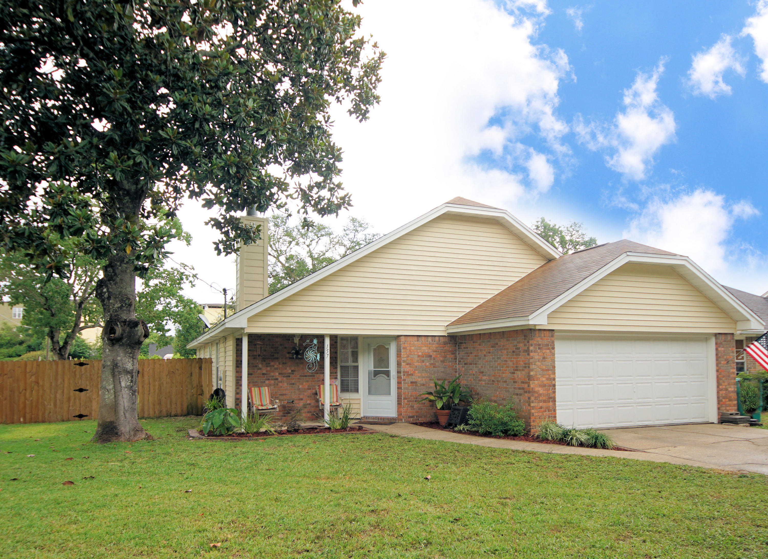 Summer Tree - Residential