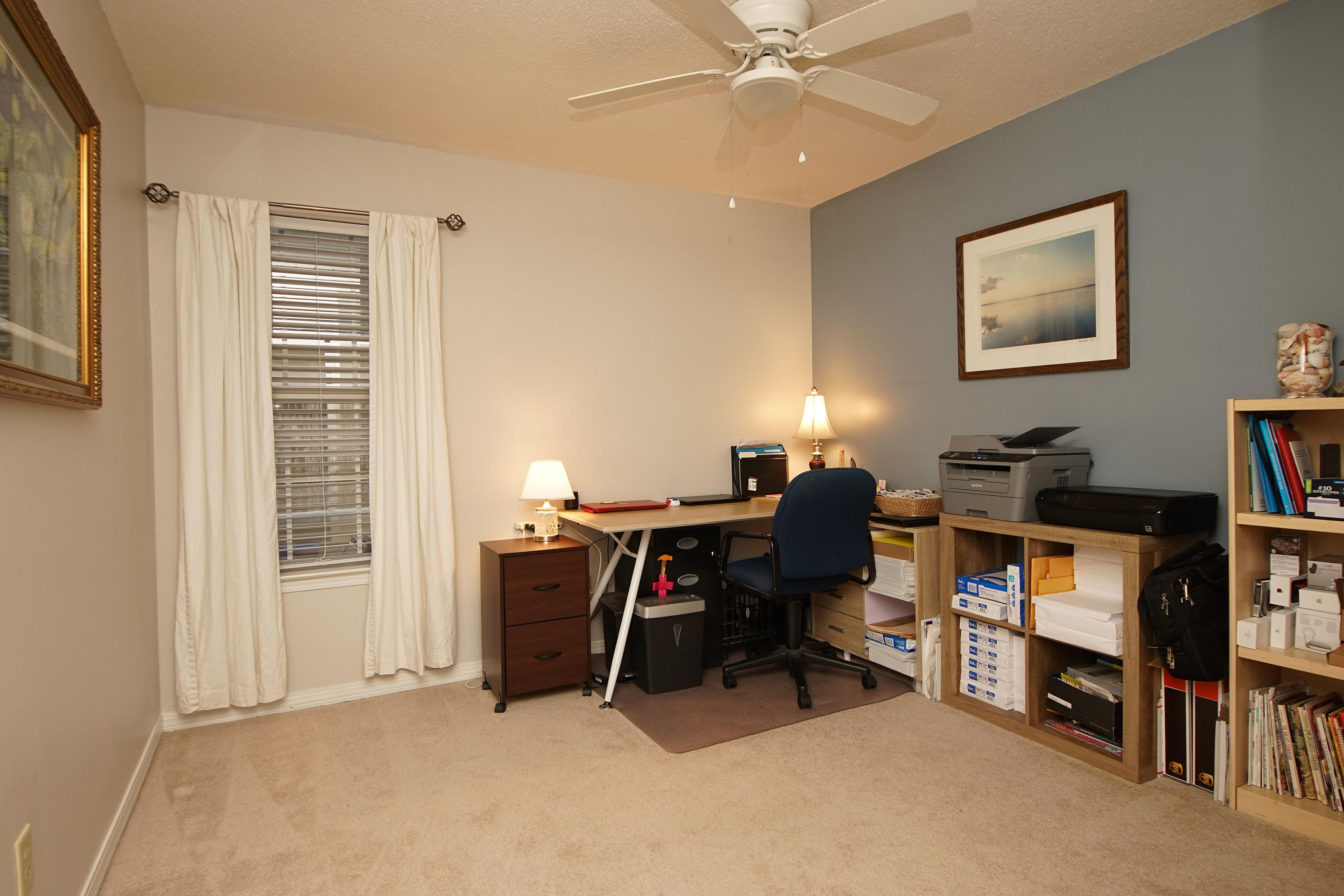 Summer Tree - Residential