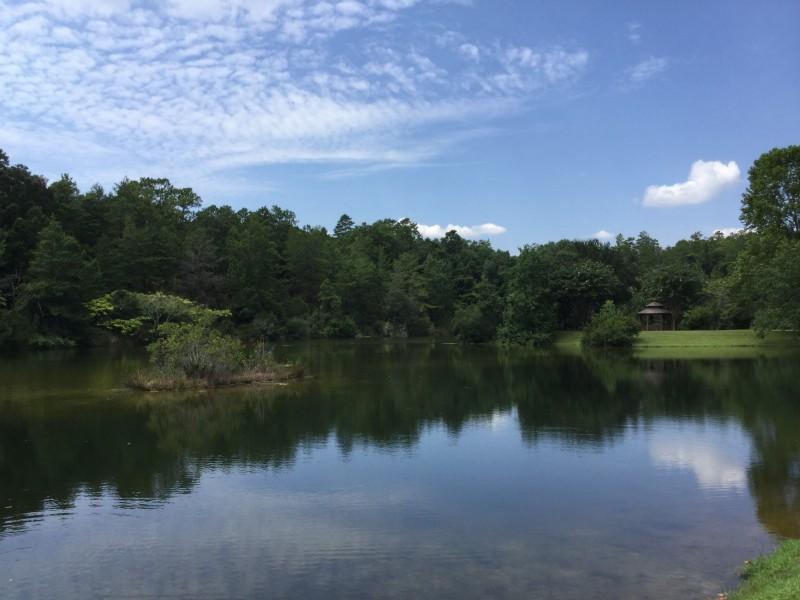 SWIFT CREEK PH VI - Residential