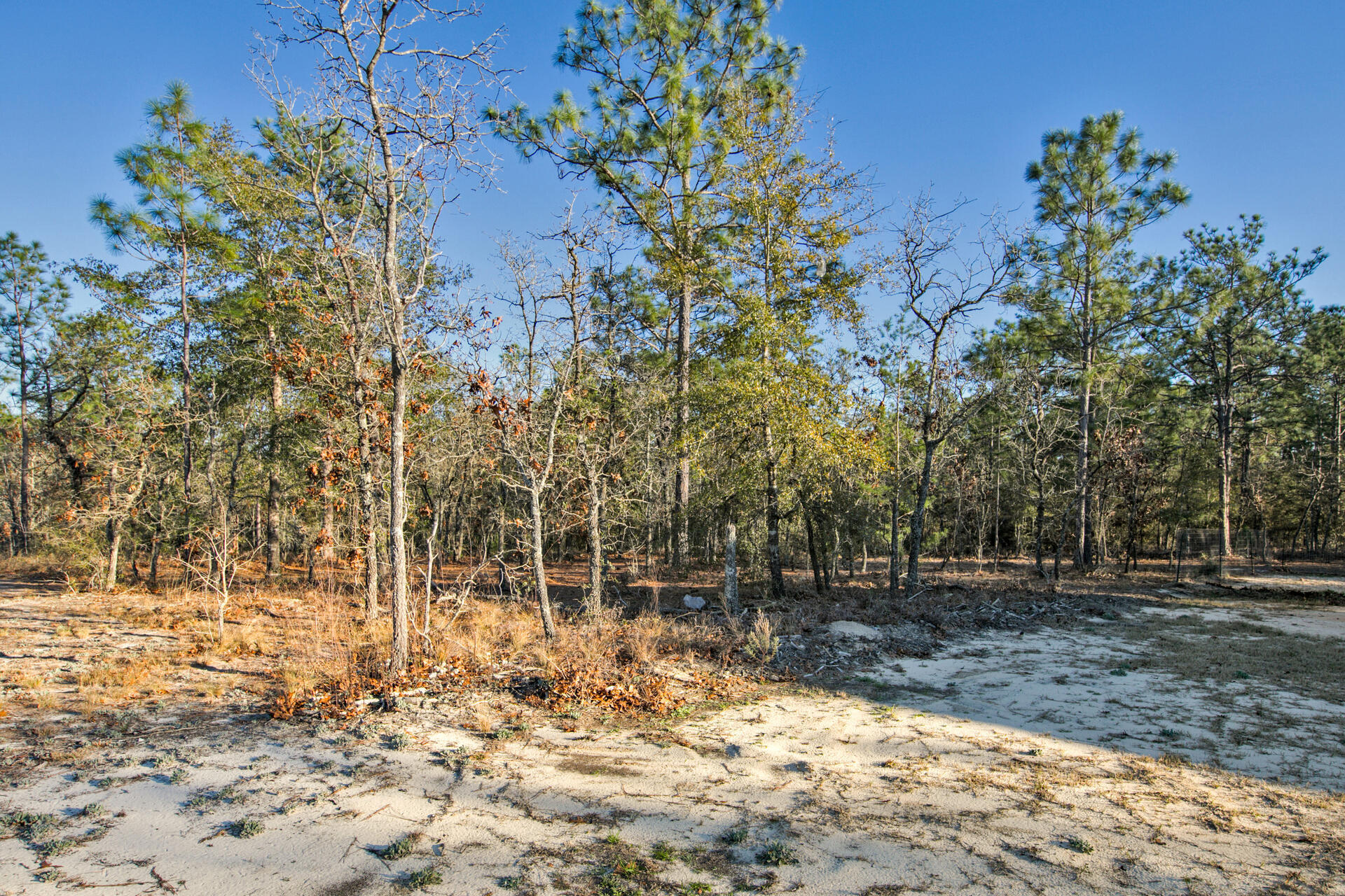 OAKWOOD HILLS UNIT 1 - Residential