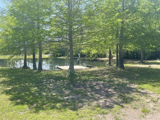 MARINA VILLAGE - Residential