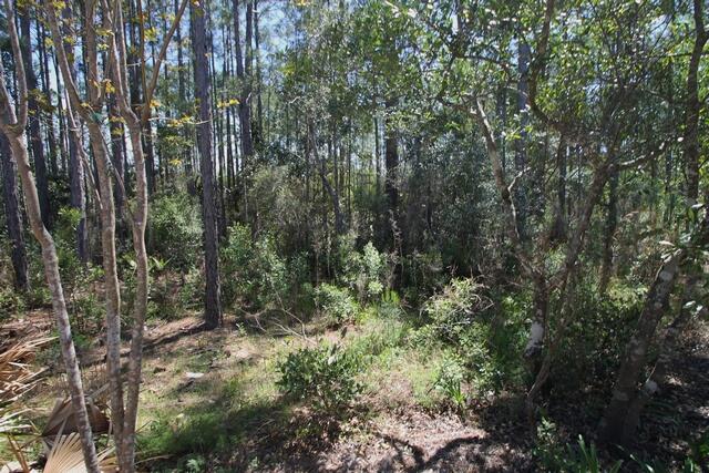 MARINA VILLAGE - Residential