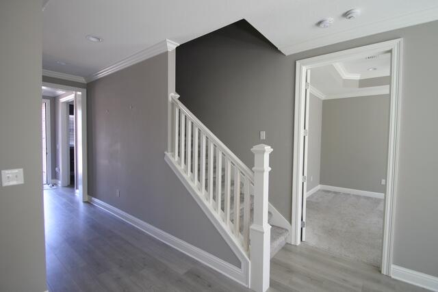 MARINA VILLAGE - Residential