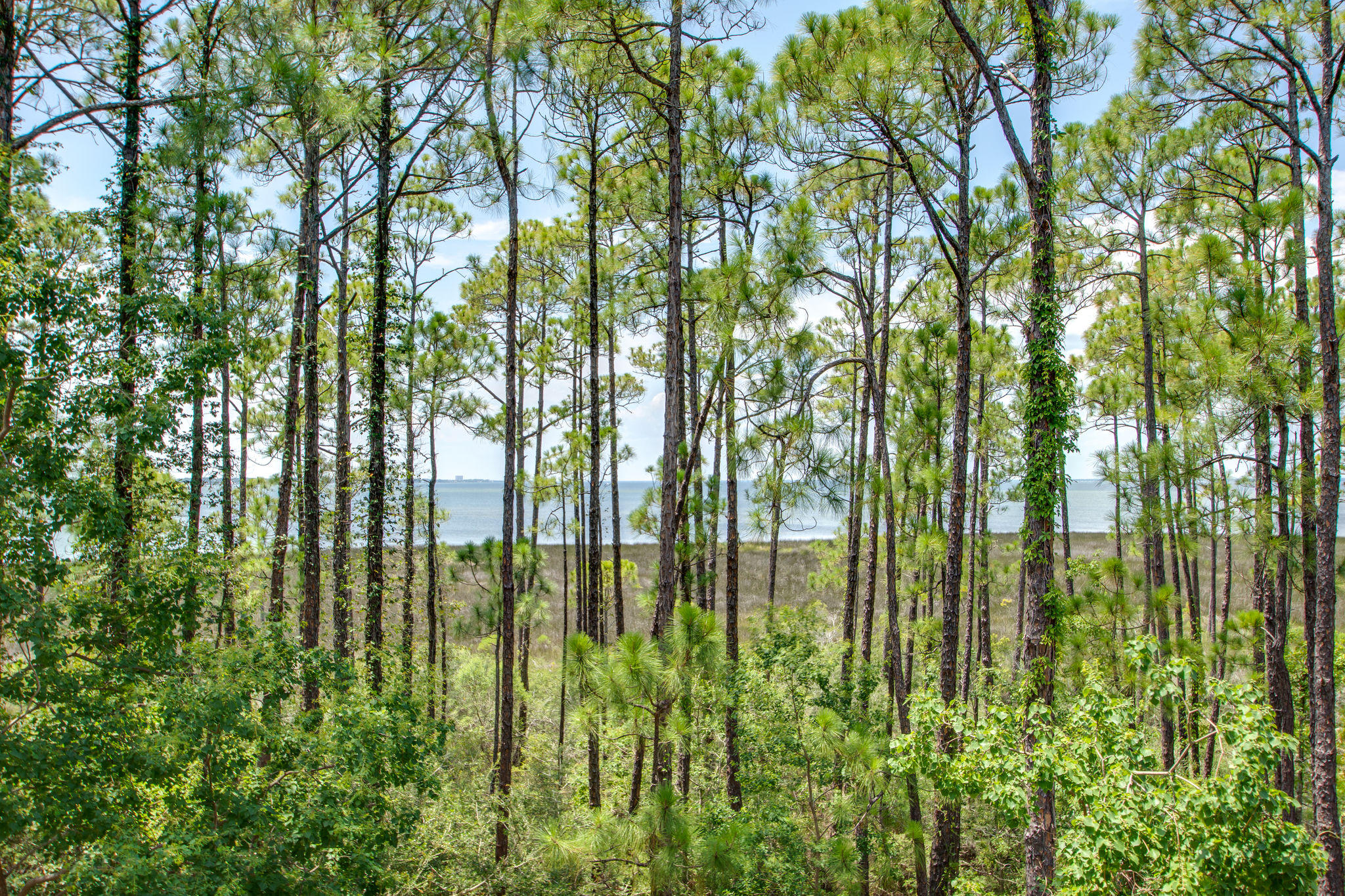 BAHIA CONDO - Residential